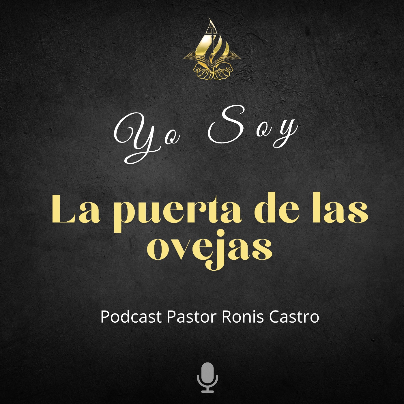 Transformando tus sábados