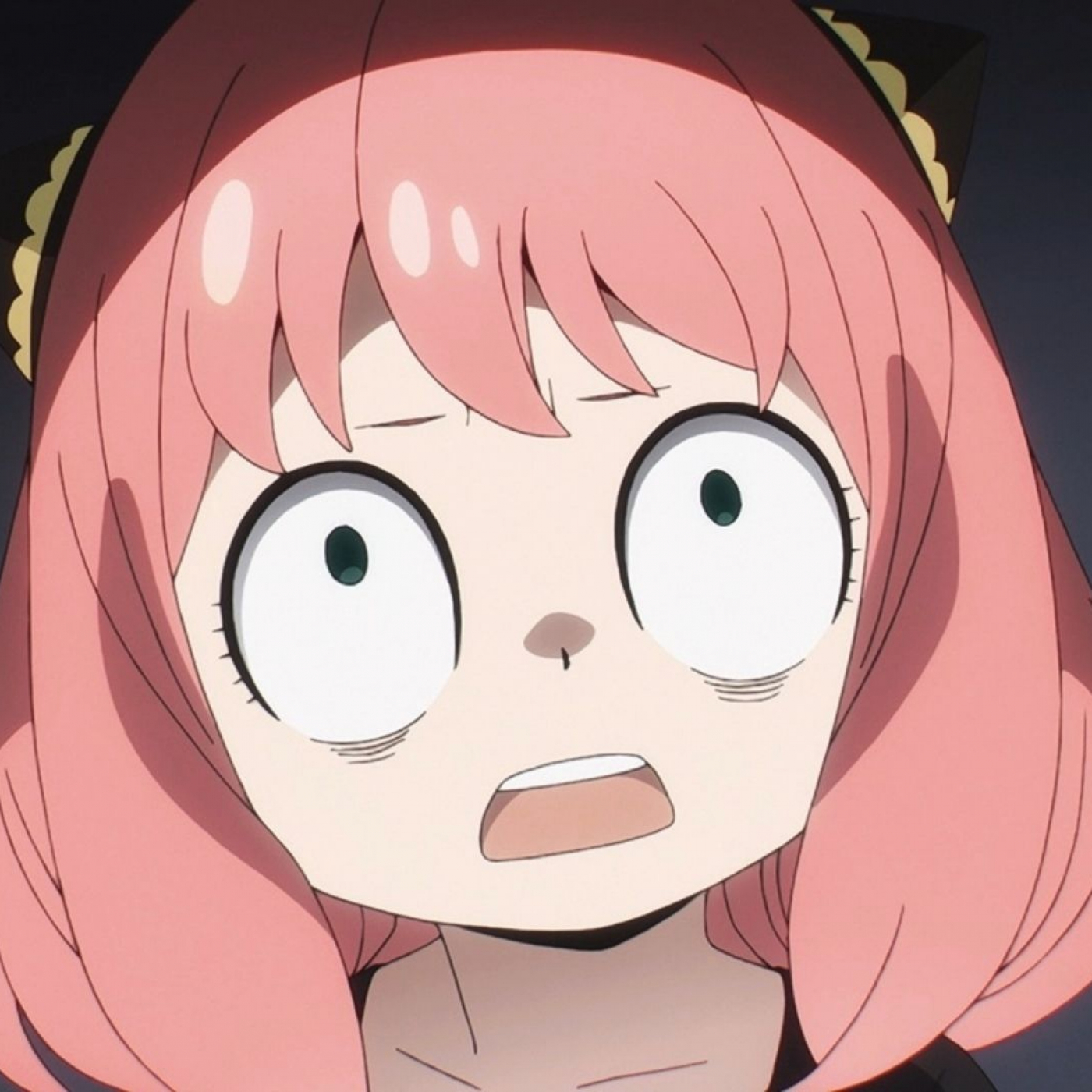 El Show de Los Otakus