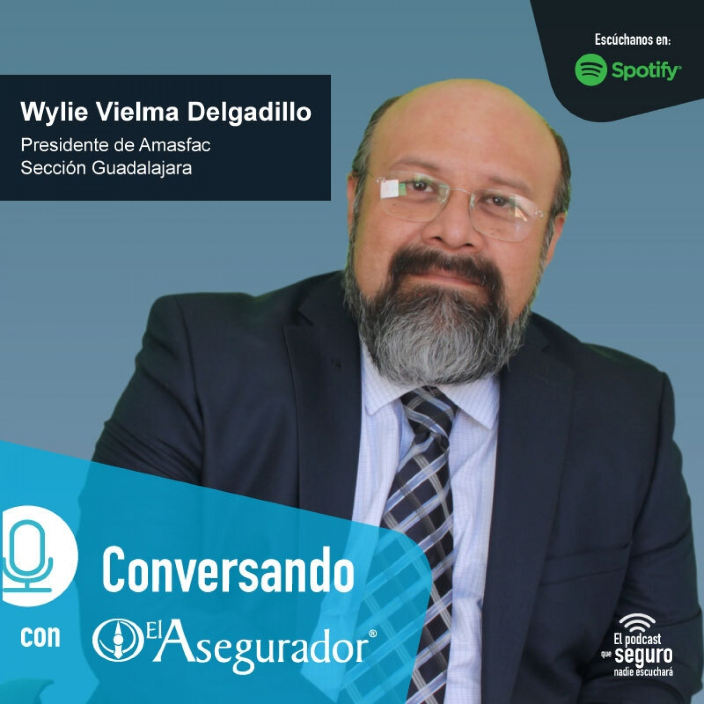 El Asegurador