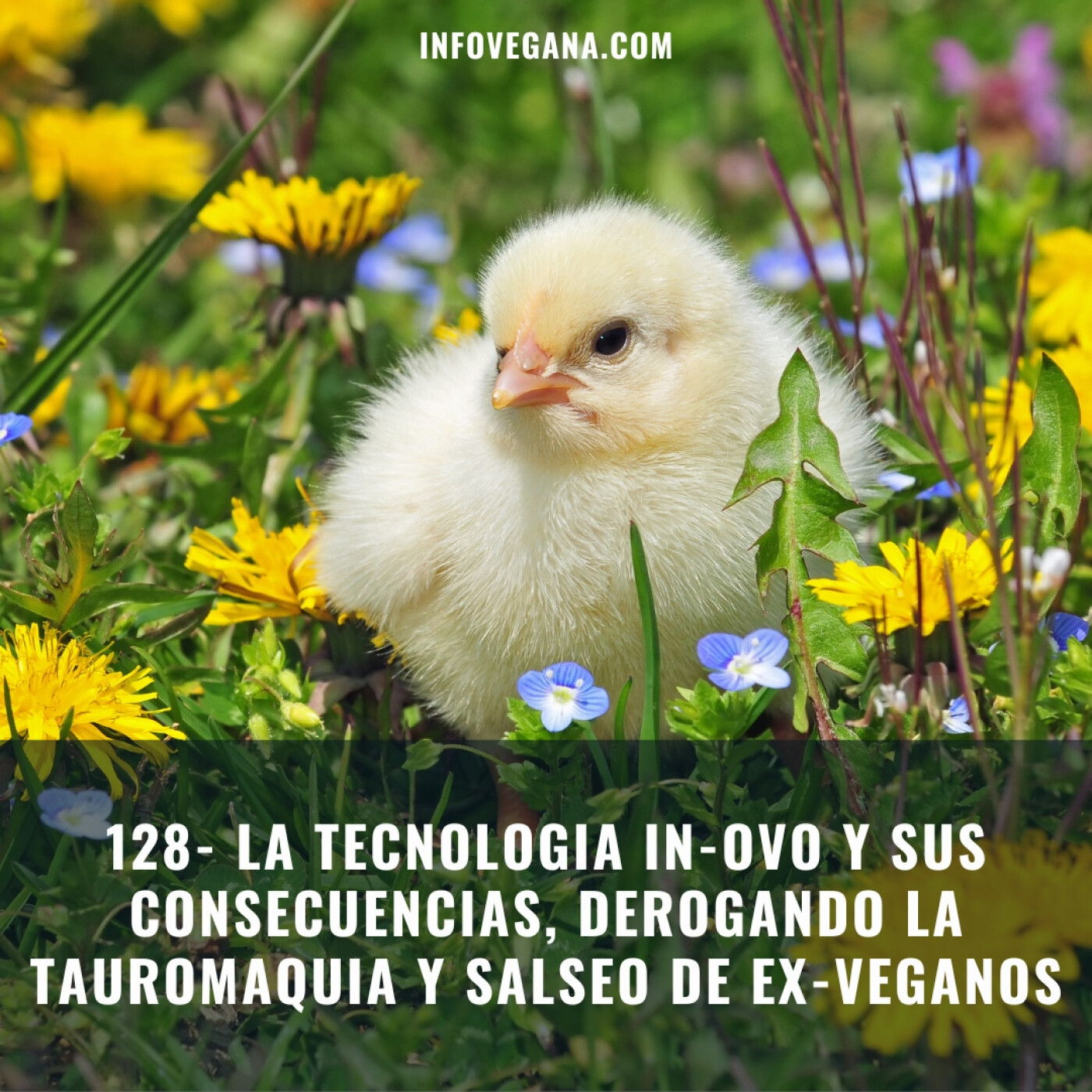 Infovegana, podcast de veganismo y sostenibilidad