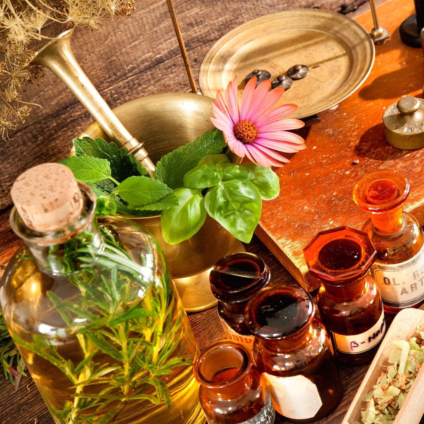 Salud&Naturaleza Programa 37