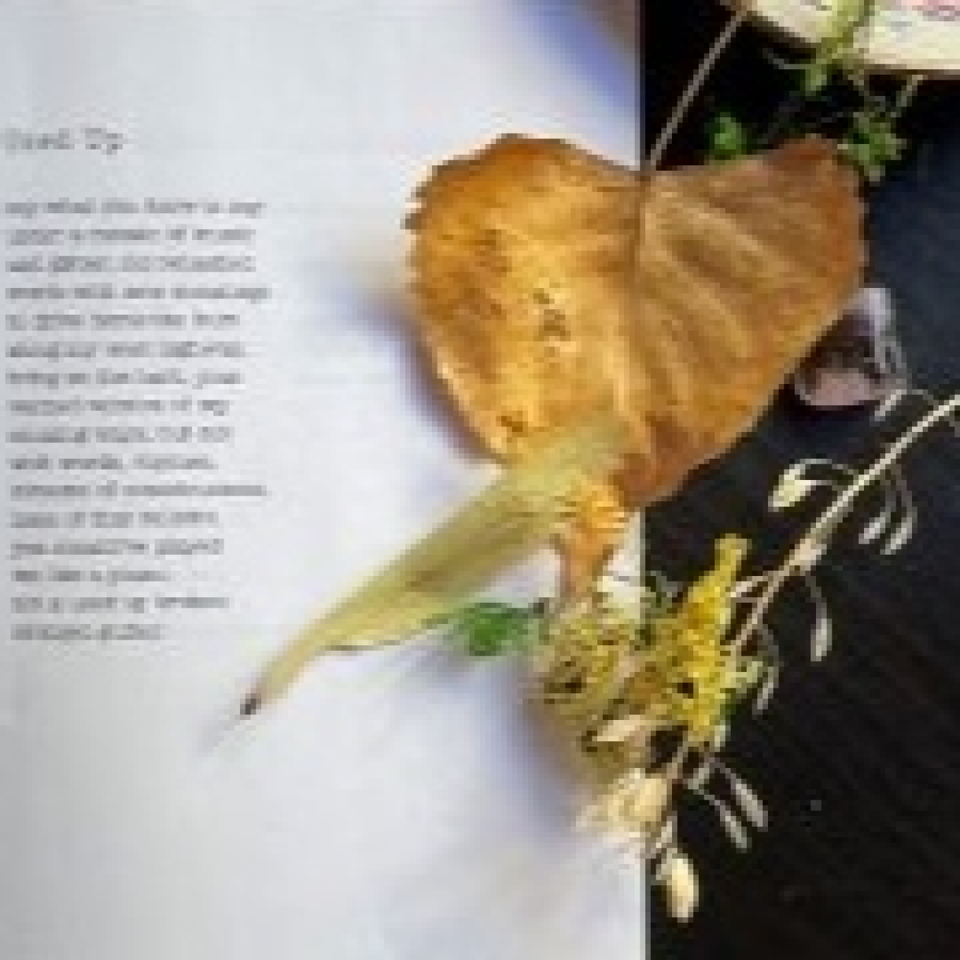 Poema MMD