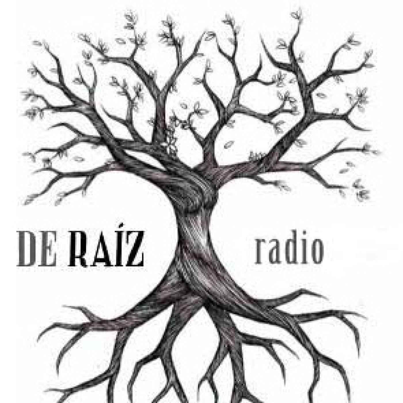 De Raíz Radio