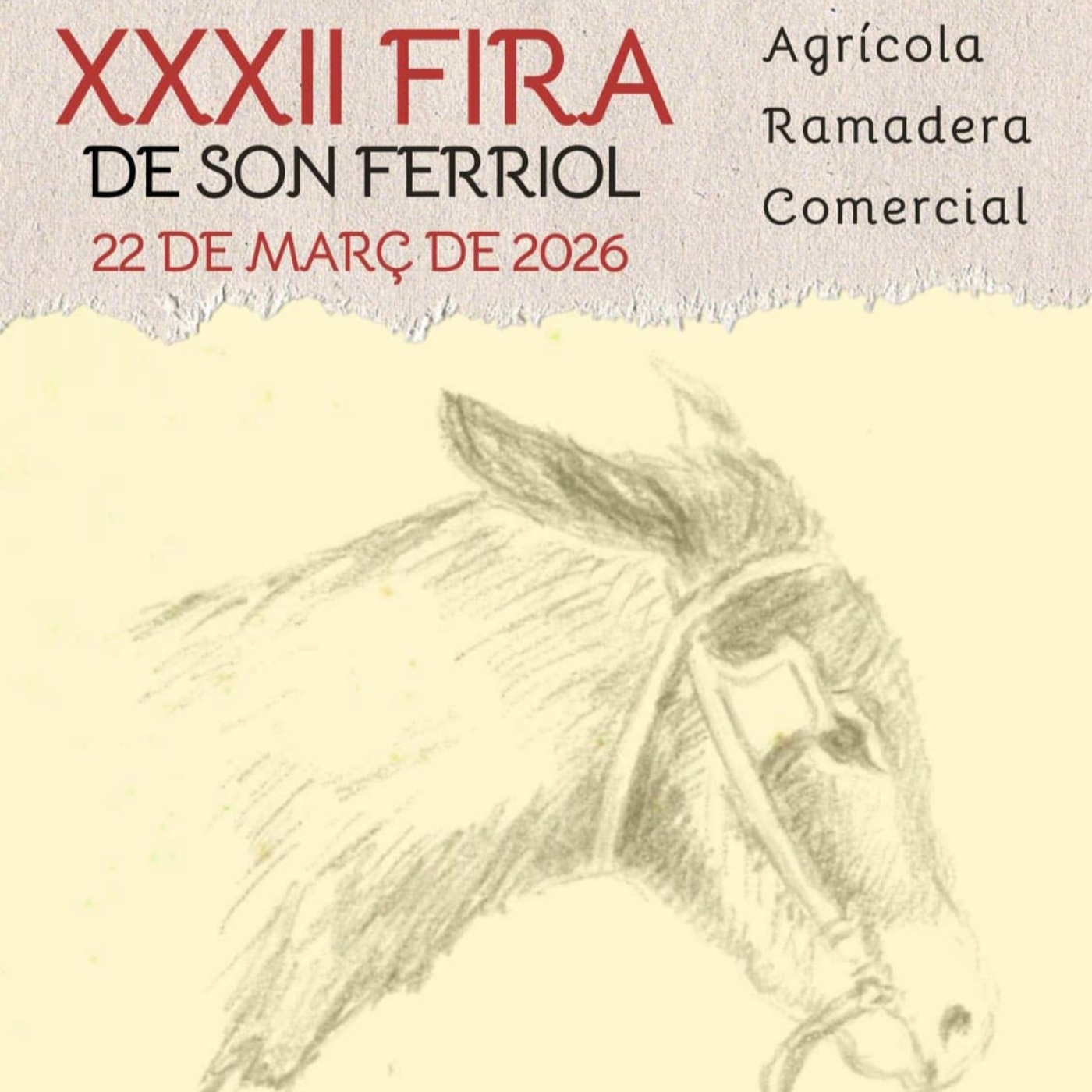 b8ecedd1bc788dc60d35d6e859832be3 XXL esRadio Baleares