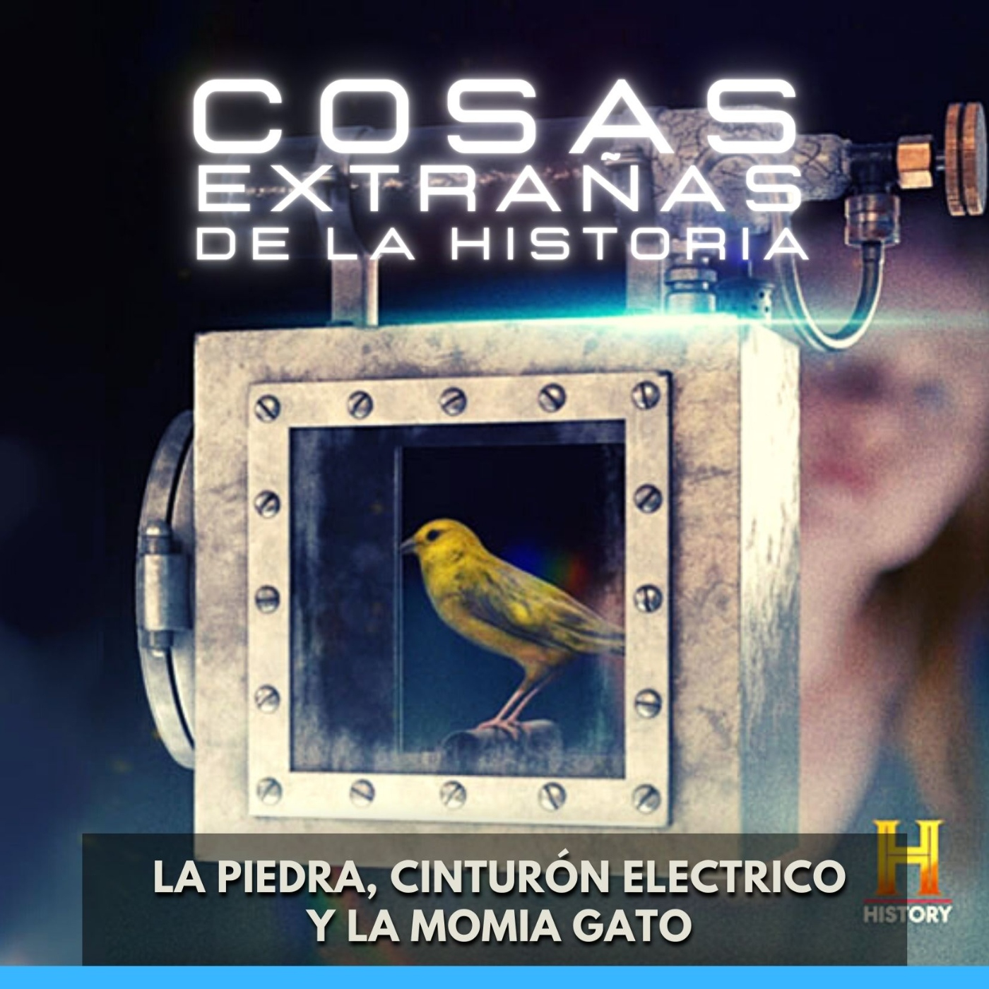 Docus Audio Latino