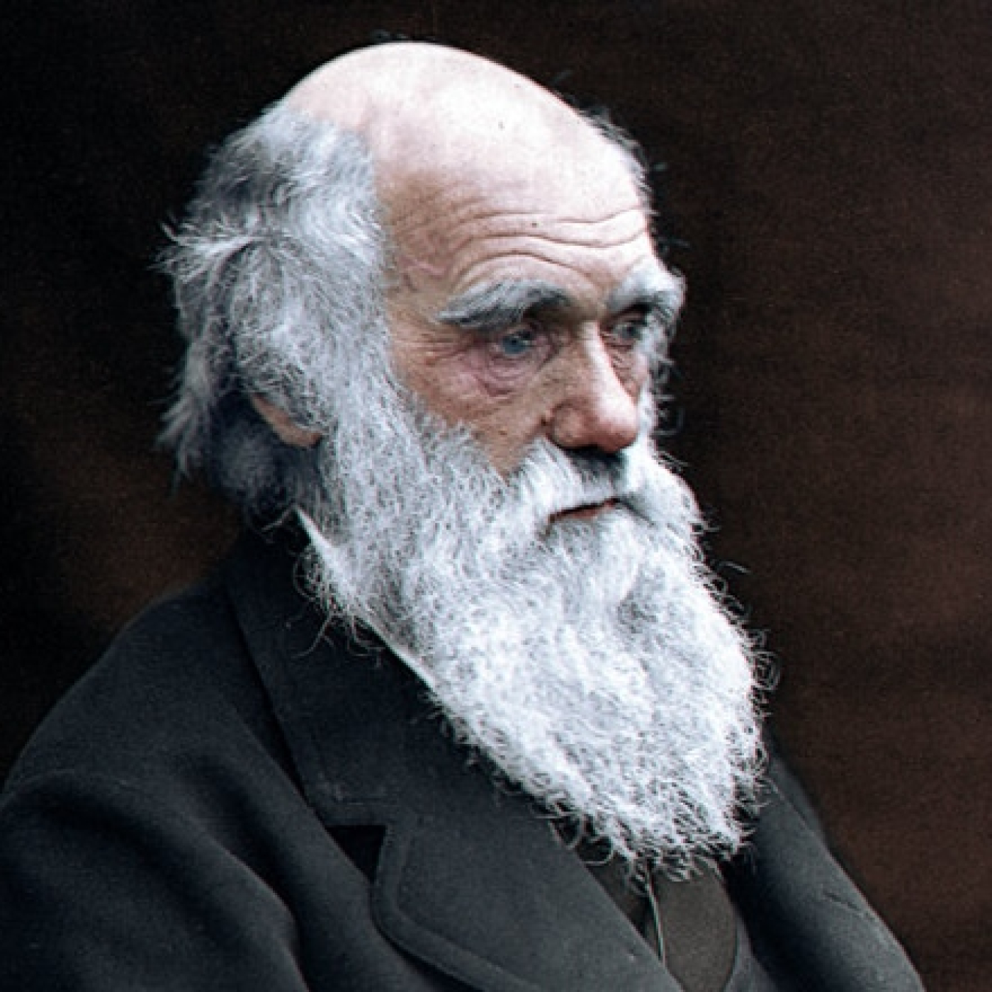847 - Charles Darwin. Parte 3