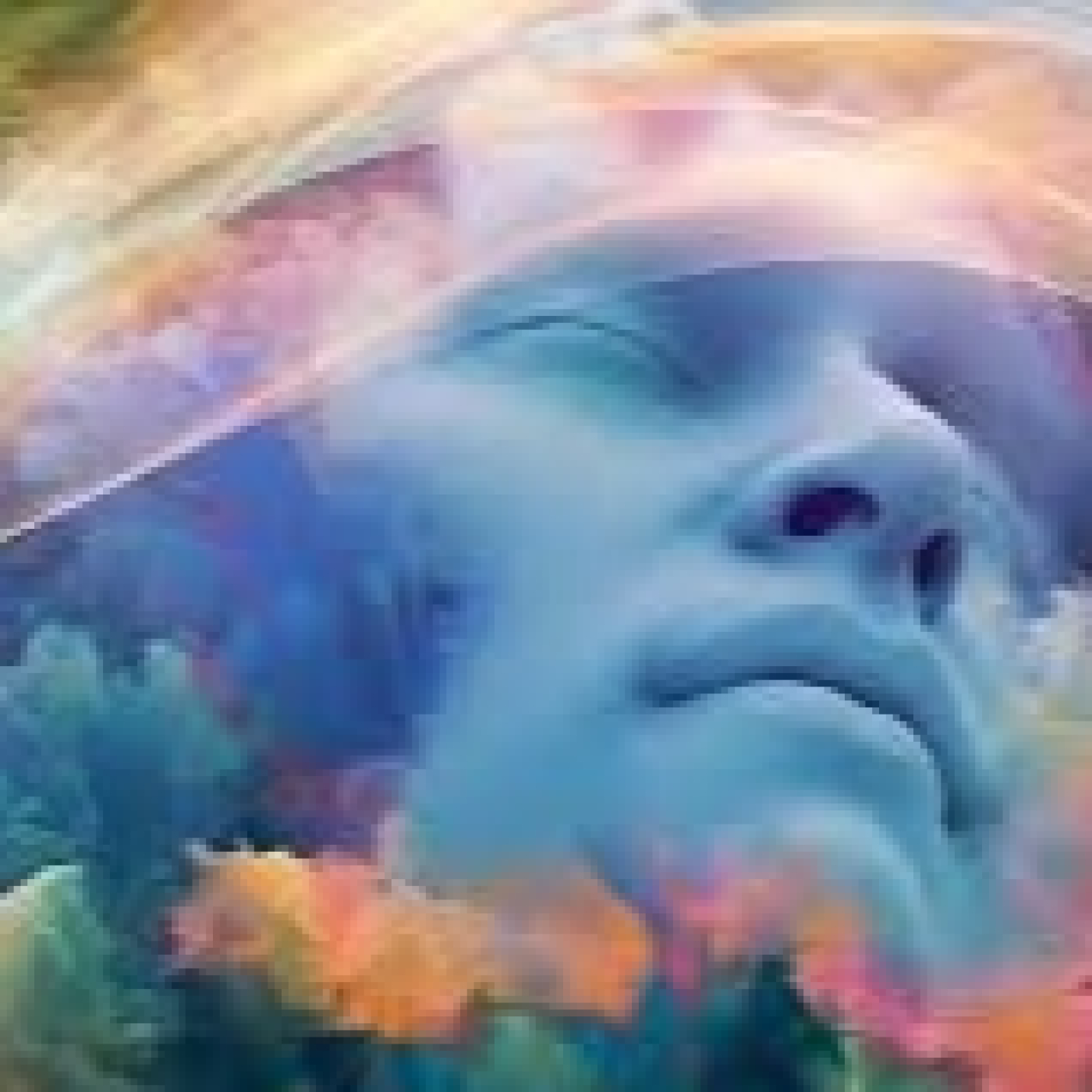 Luces en la oscuridad