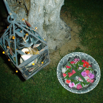embed image