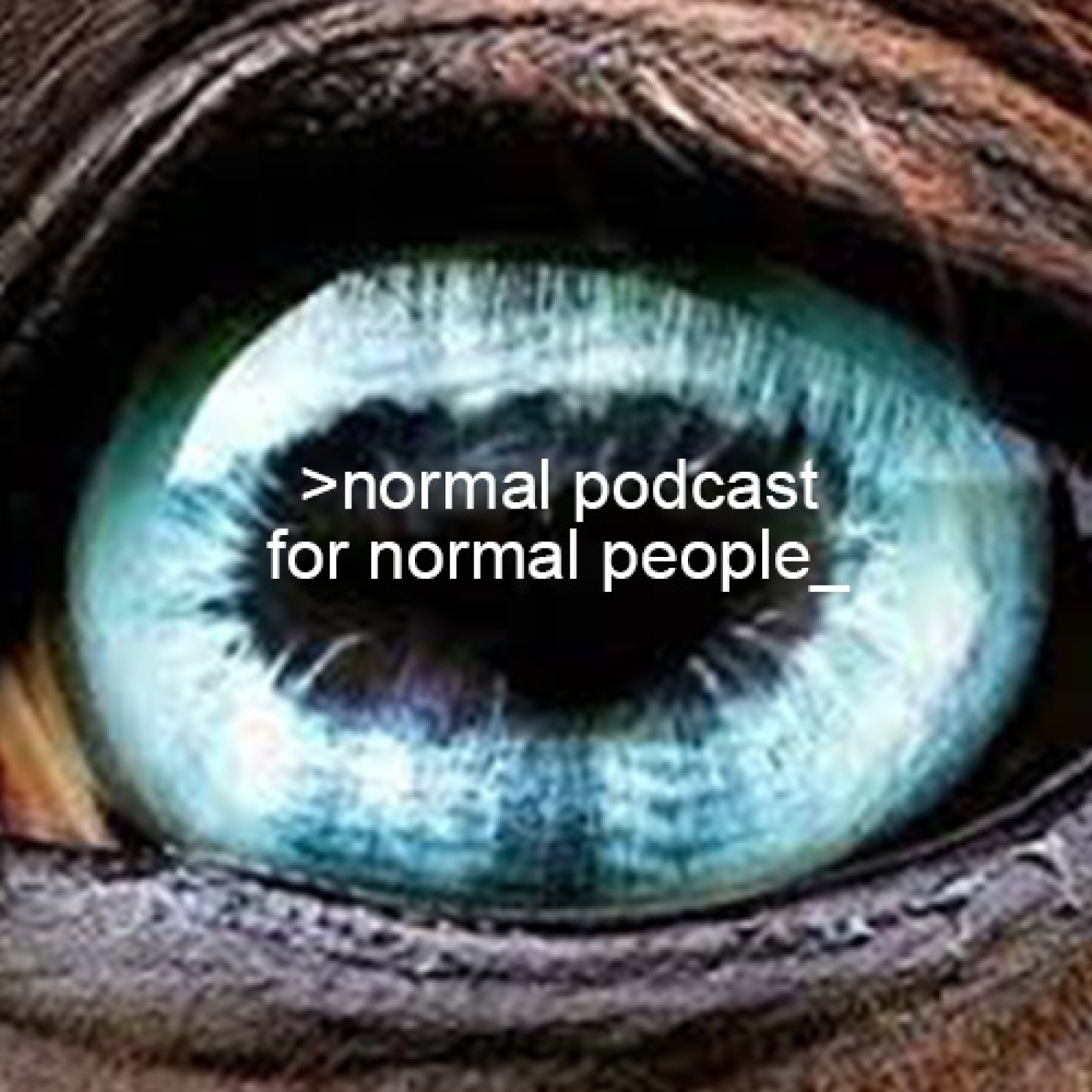 Normal Podcast for Normal People