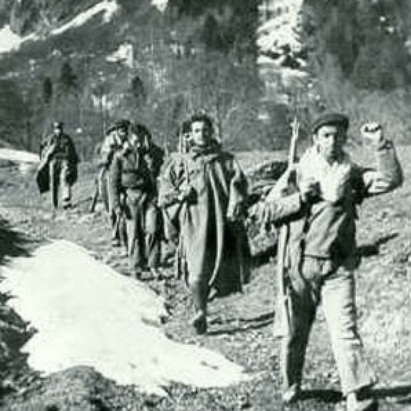 Historia TariK