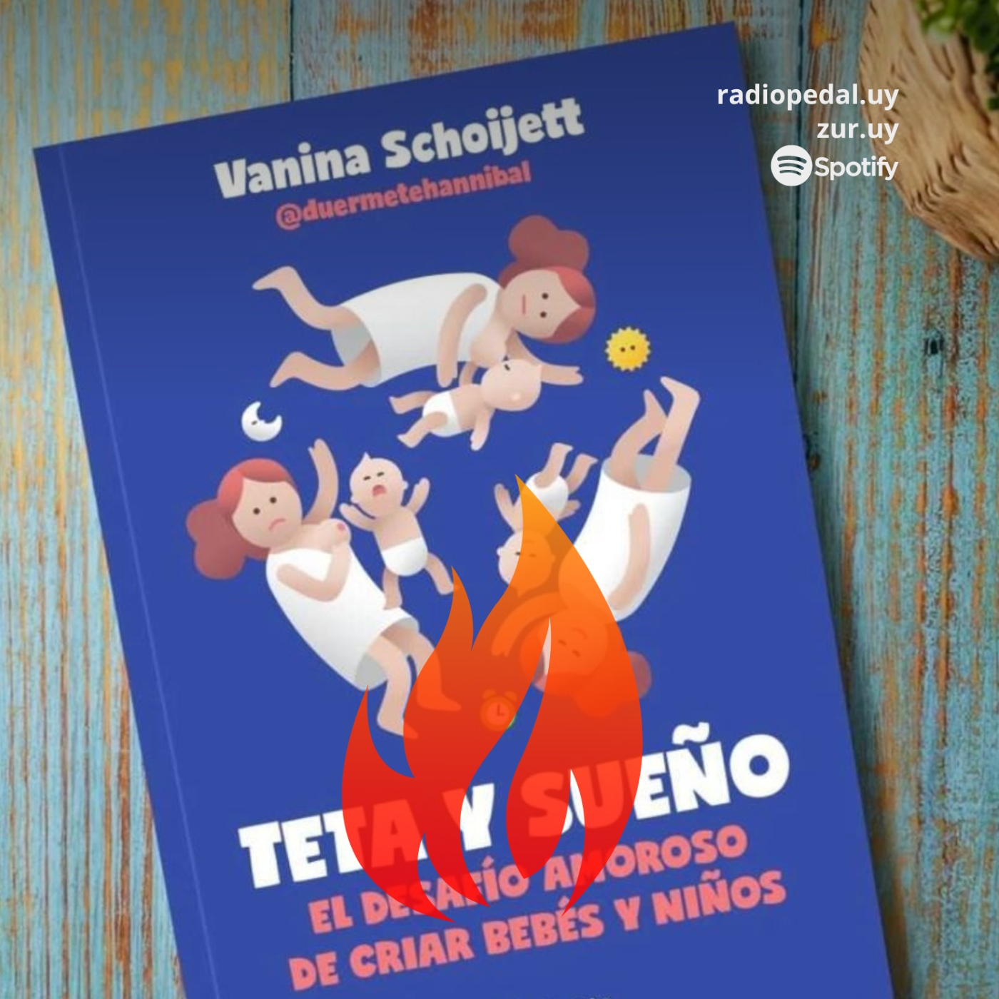 Dm #110 | La Puta Madre: con Vanina Schoijett (06-09-23) episode artwork