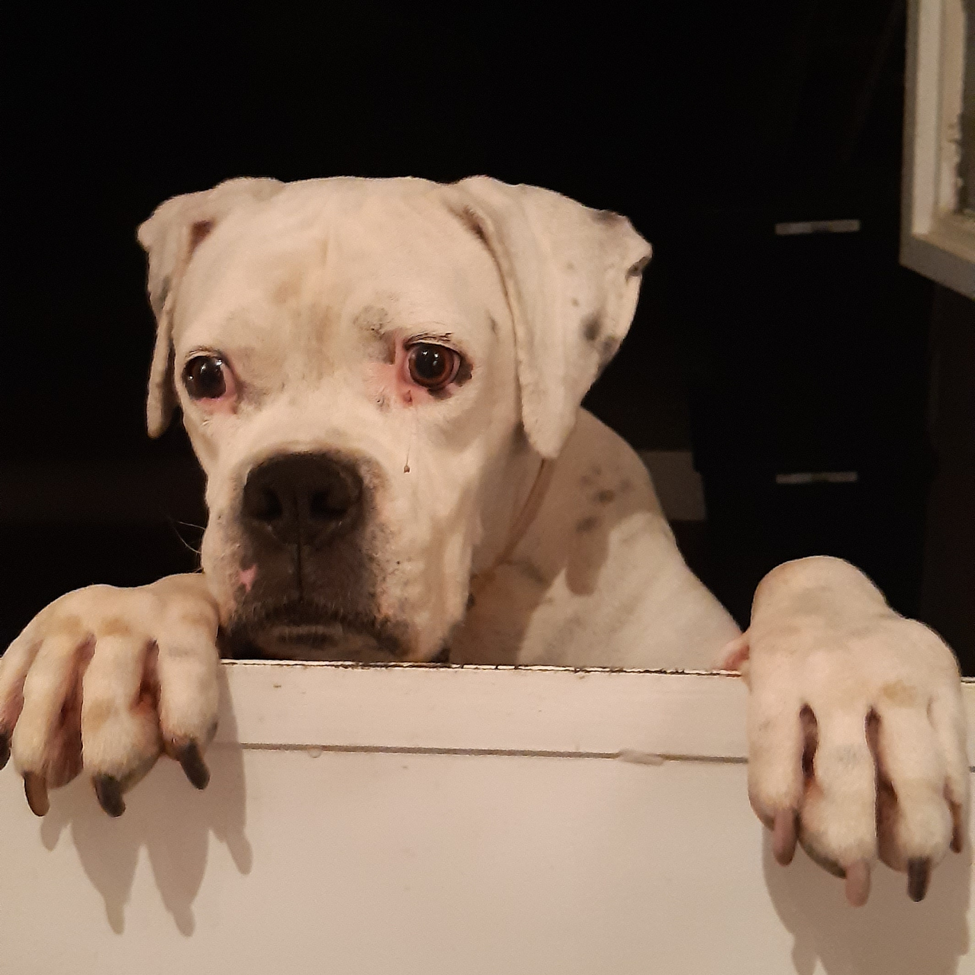 Podcast de Telescopio