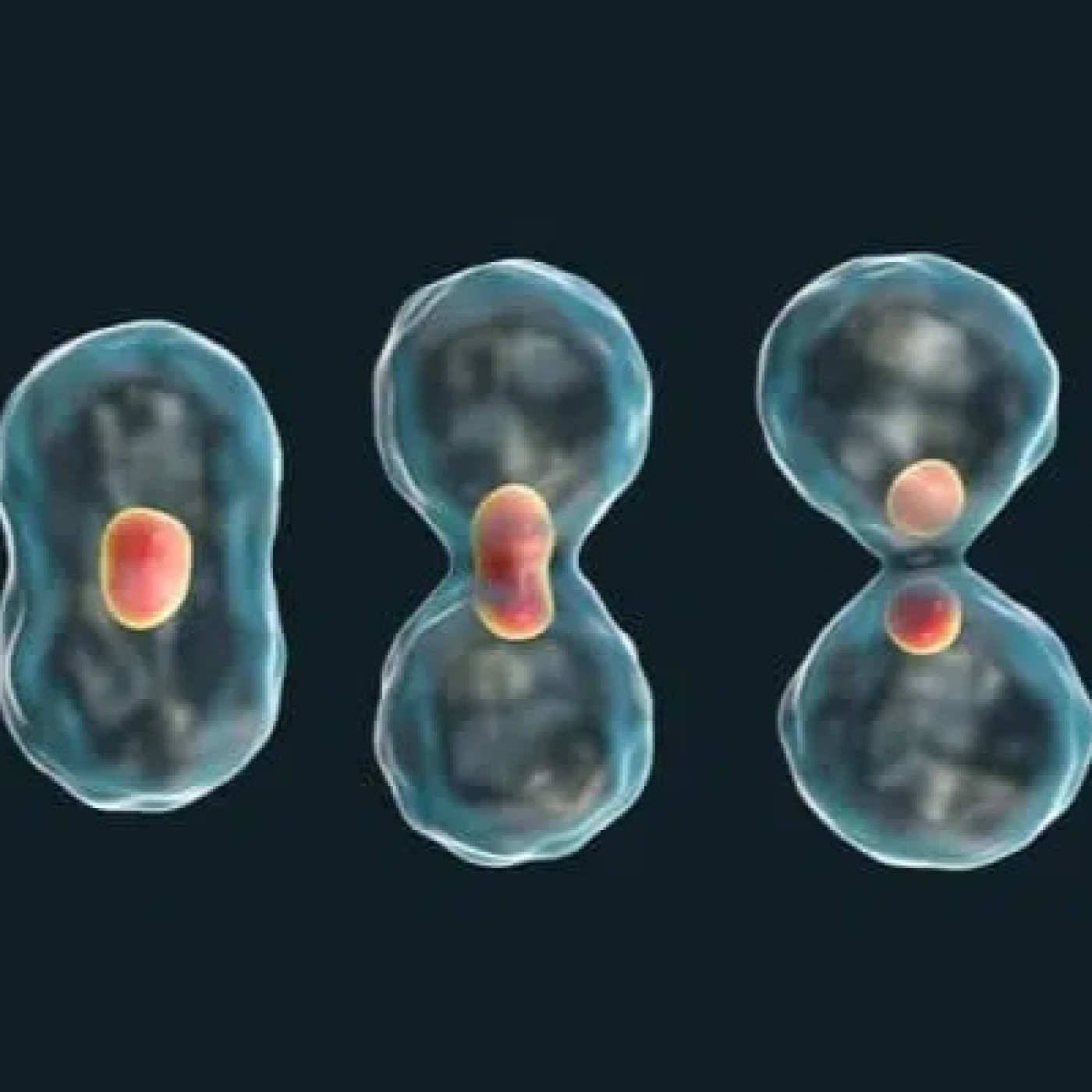 La BioZona