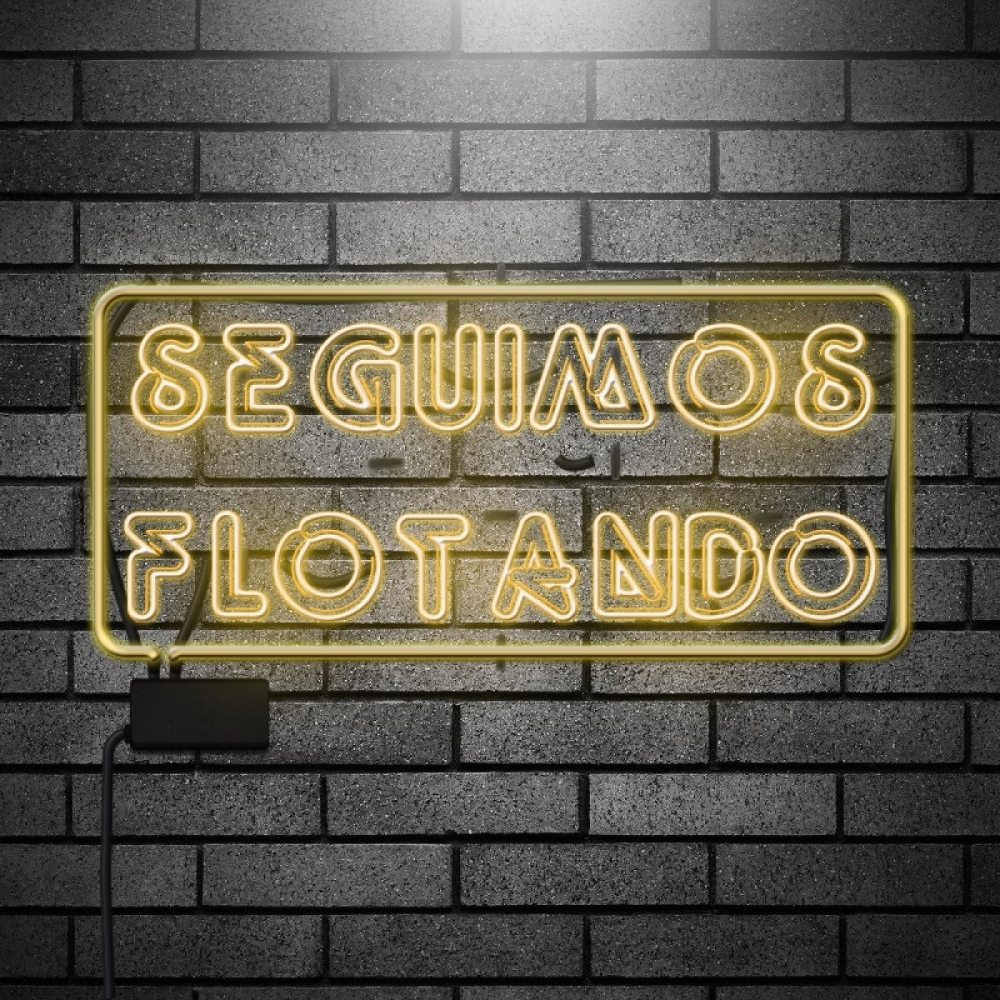 Seguimos Flotando