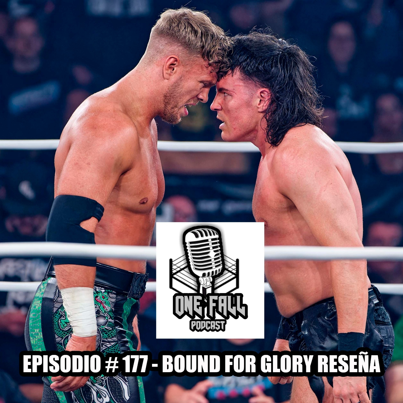 ONE FALL PODCAST