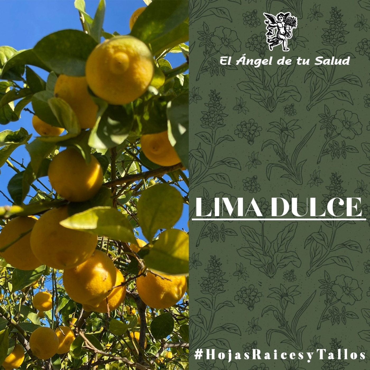 El Ángel de tu Salud - Lima Dulce** episode artwork
