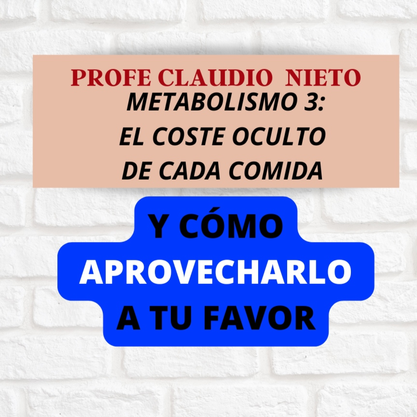 221. METABOLISMO 3: EFECTO TÉRMICO de los 3 MACRONUTRIENTES