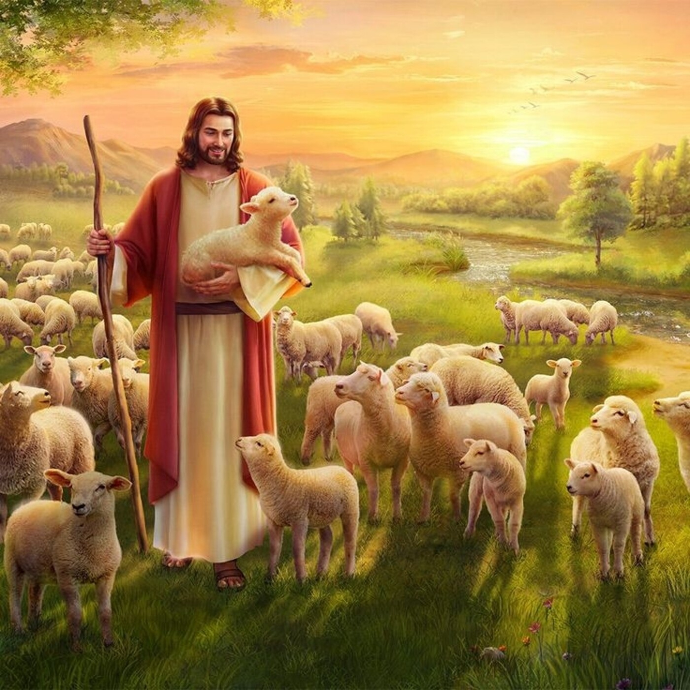 Buceando el Evangelio