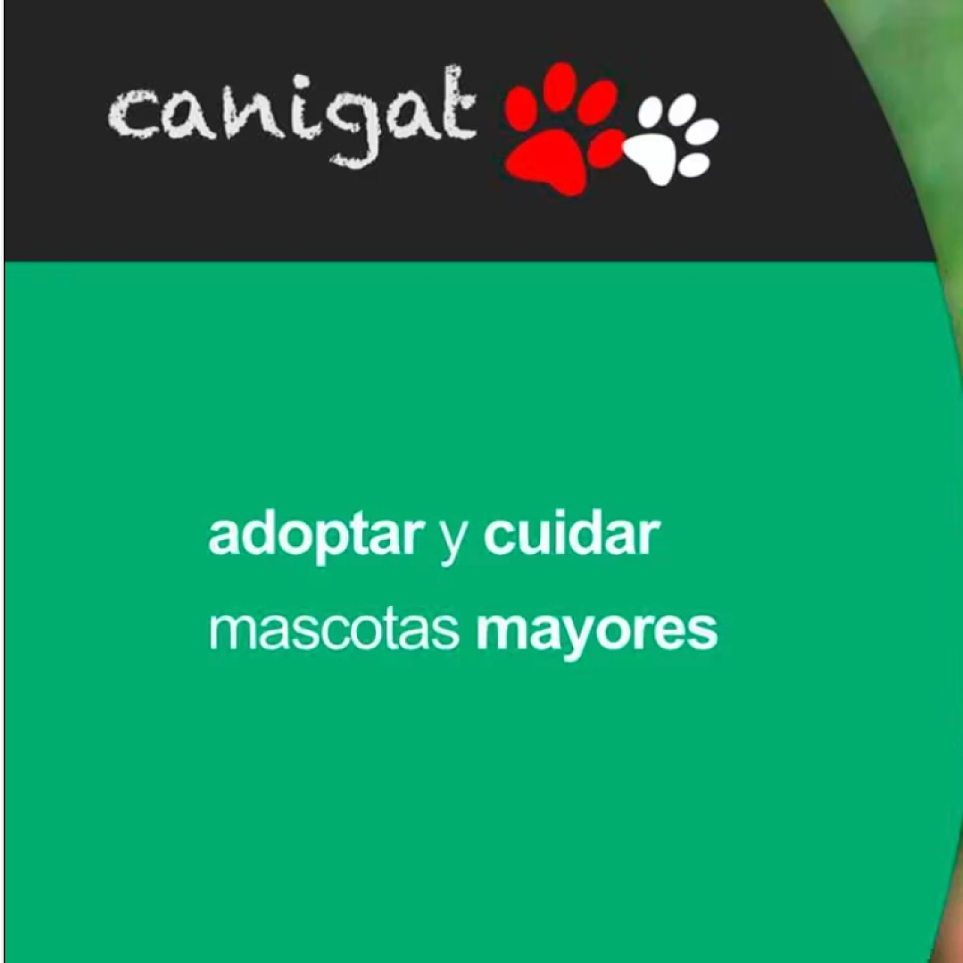 Consejos veterinarios de perros y gatos by canigat