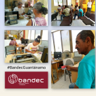 embed image