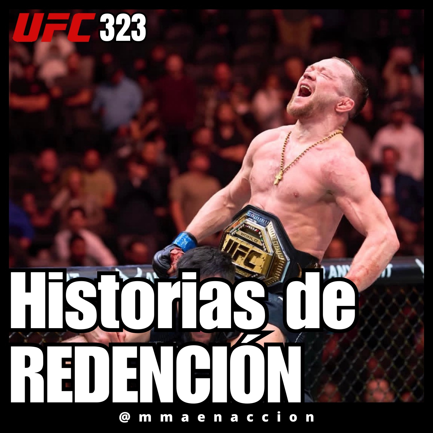 533 UFC 323 Dvalishvili vs Yan 2 - Historias de REDENCIÓN
