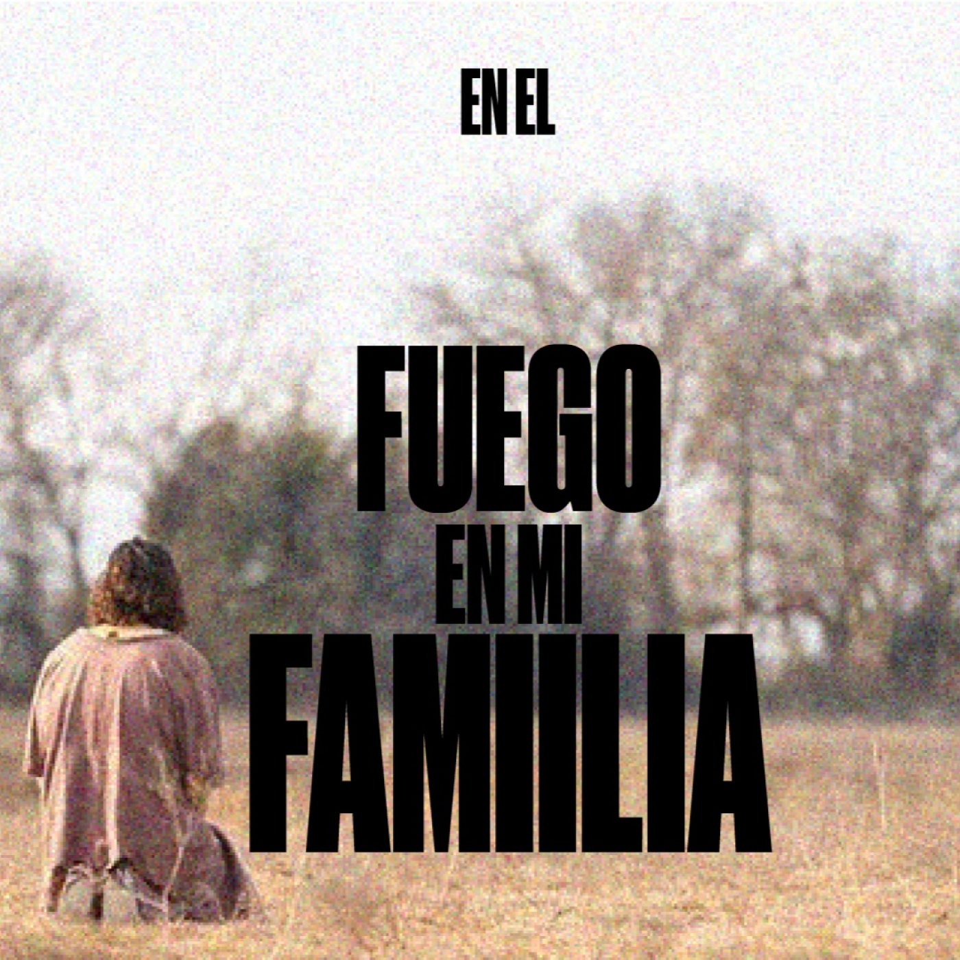 FUEGO EN MI FAMILIA serie: ANDAR EN EL ESPÍRITU episode artwork