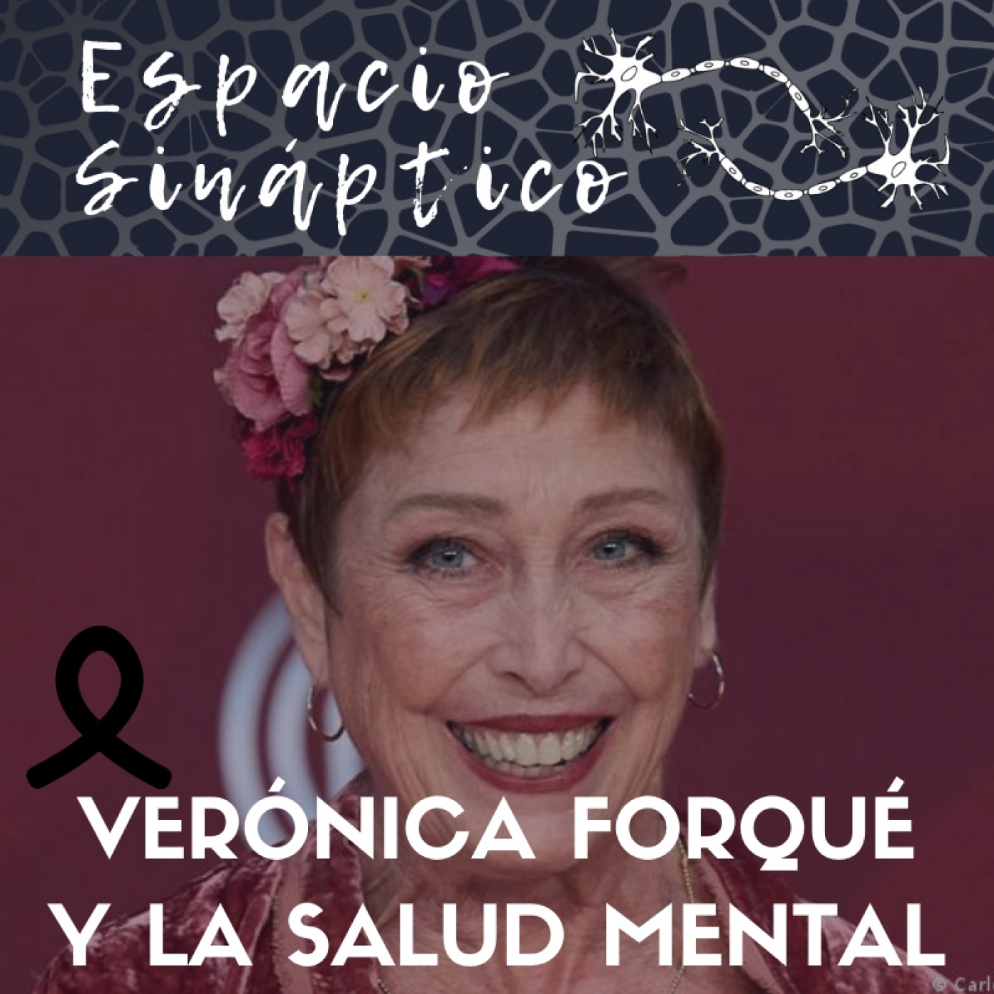 Borrón y Ciencia Nueva: EPISODIOS & SECCIONES
