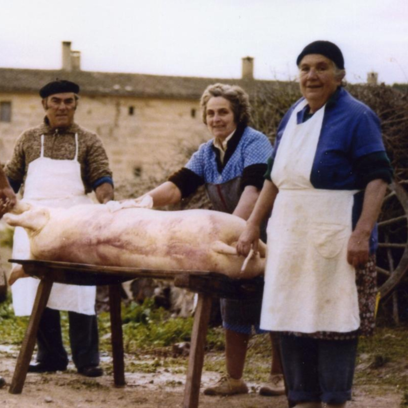 Caràtula