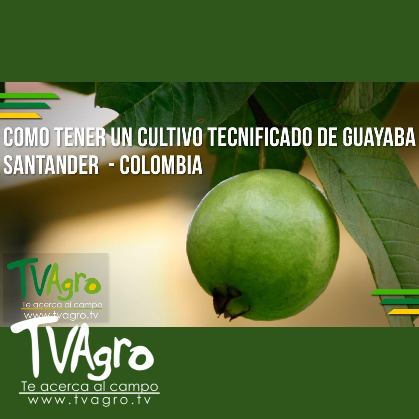 TV AGRO