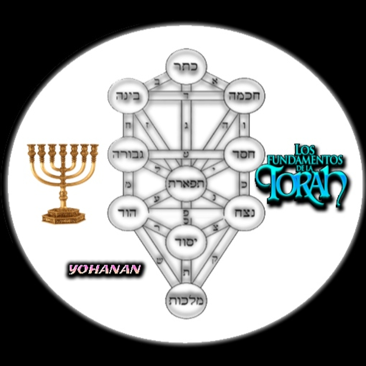 Y Hashem Elohim dijo