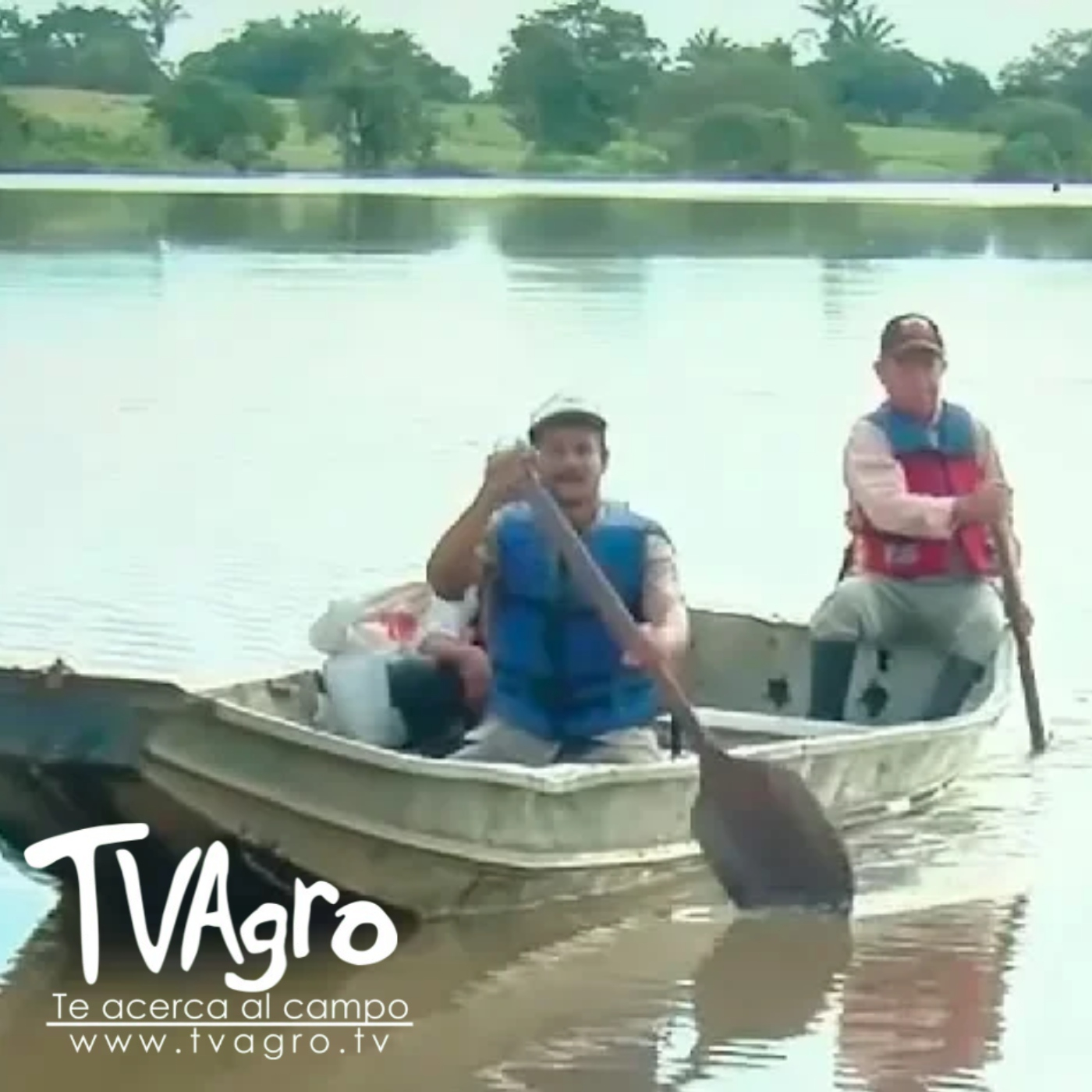 TV AGRO