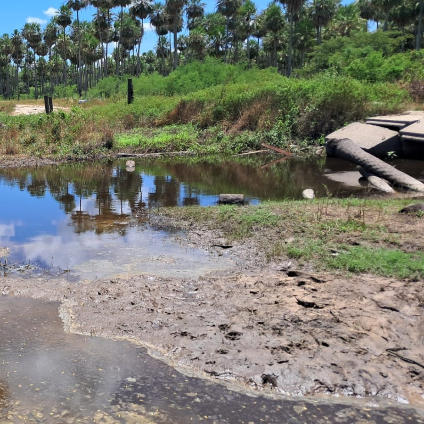 DEVUELVAN NUESTRA TIERRA