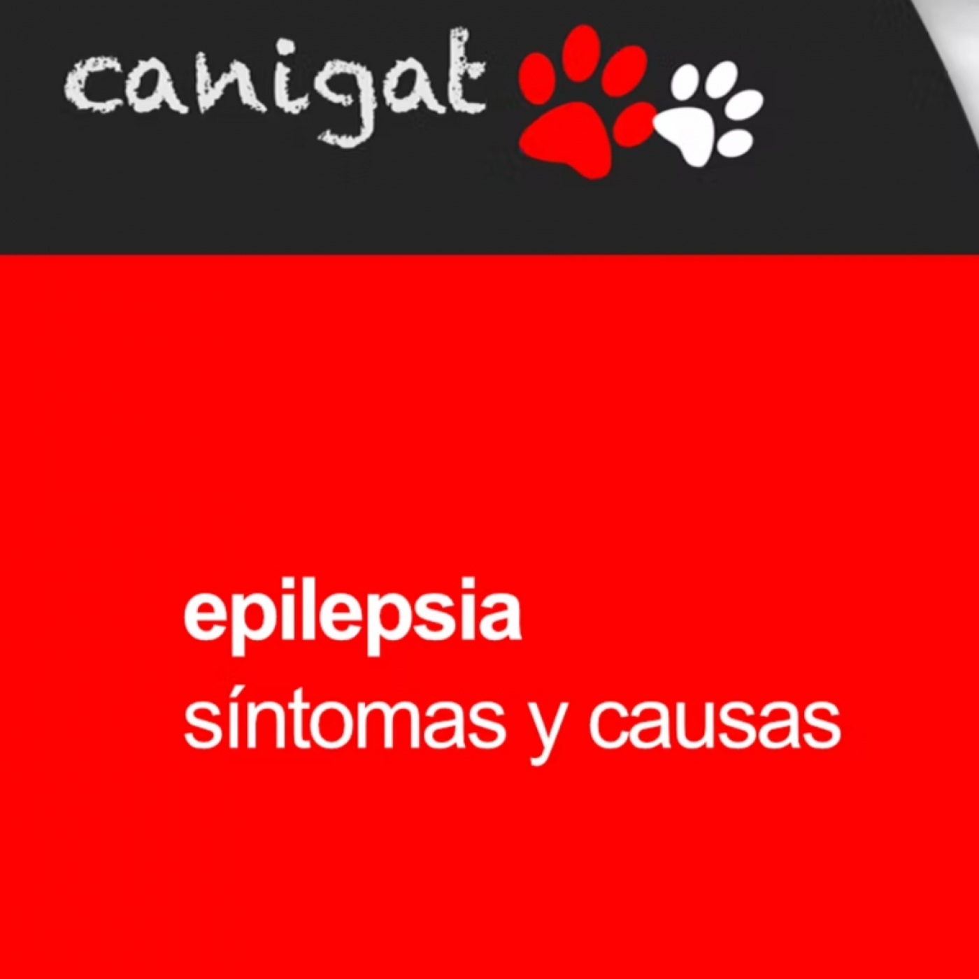 Consejos veterinarios de perros y gatos by canigat