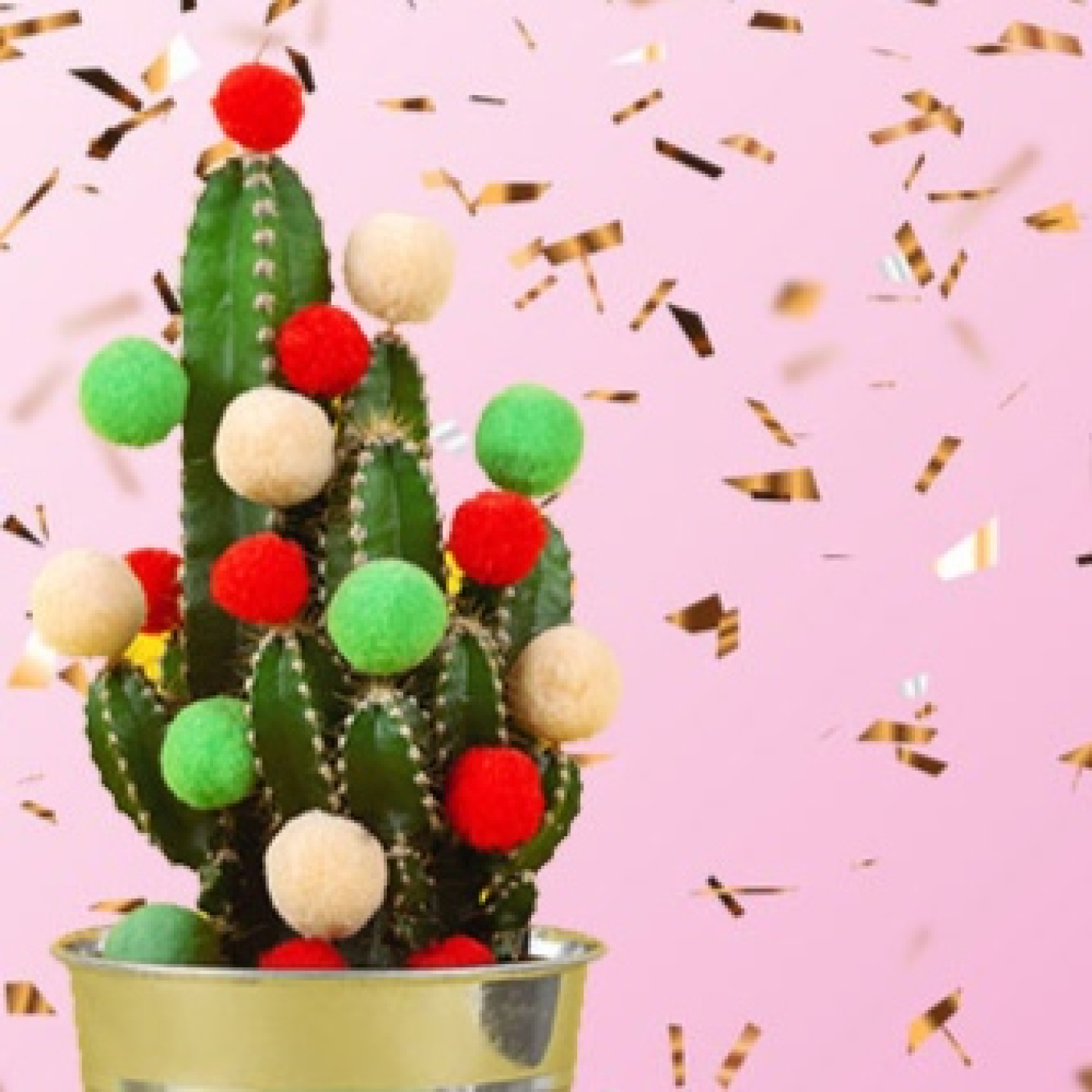 Cactus Confetti