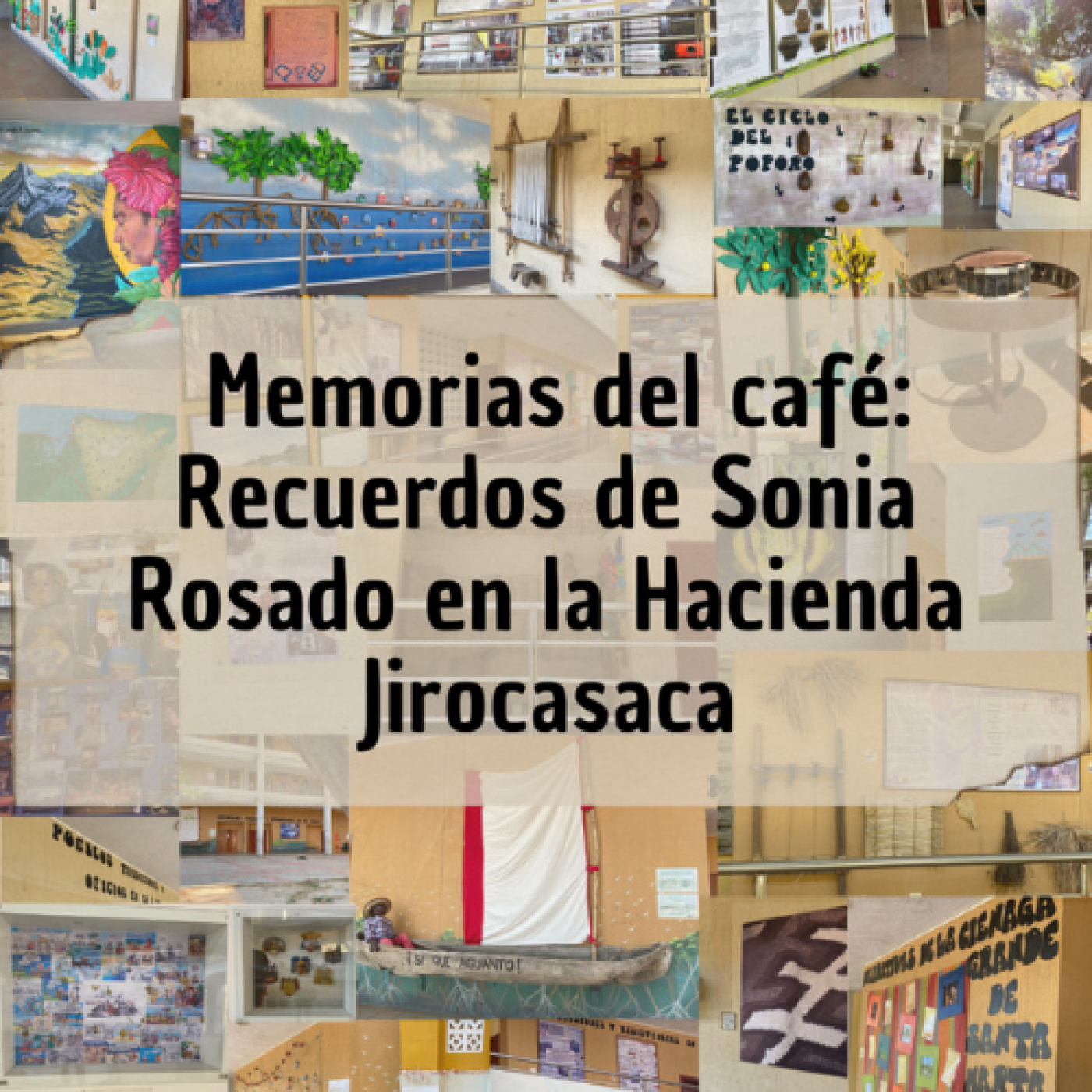 Sonoridades museográficas del Caribe colombiano
