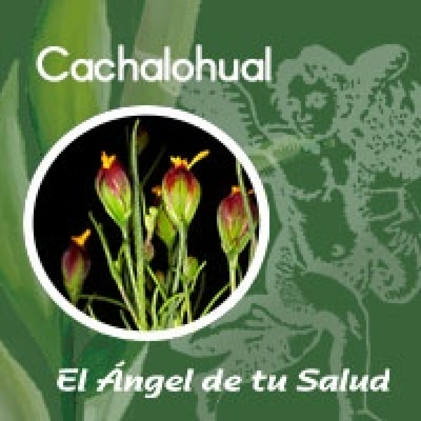 El Ángel de tu Salud - Cachalohual** episode artwork