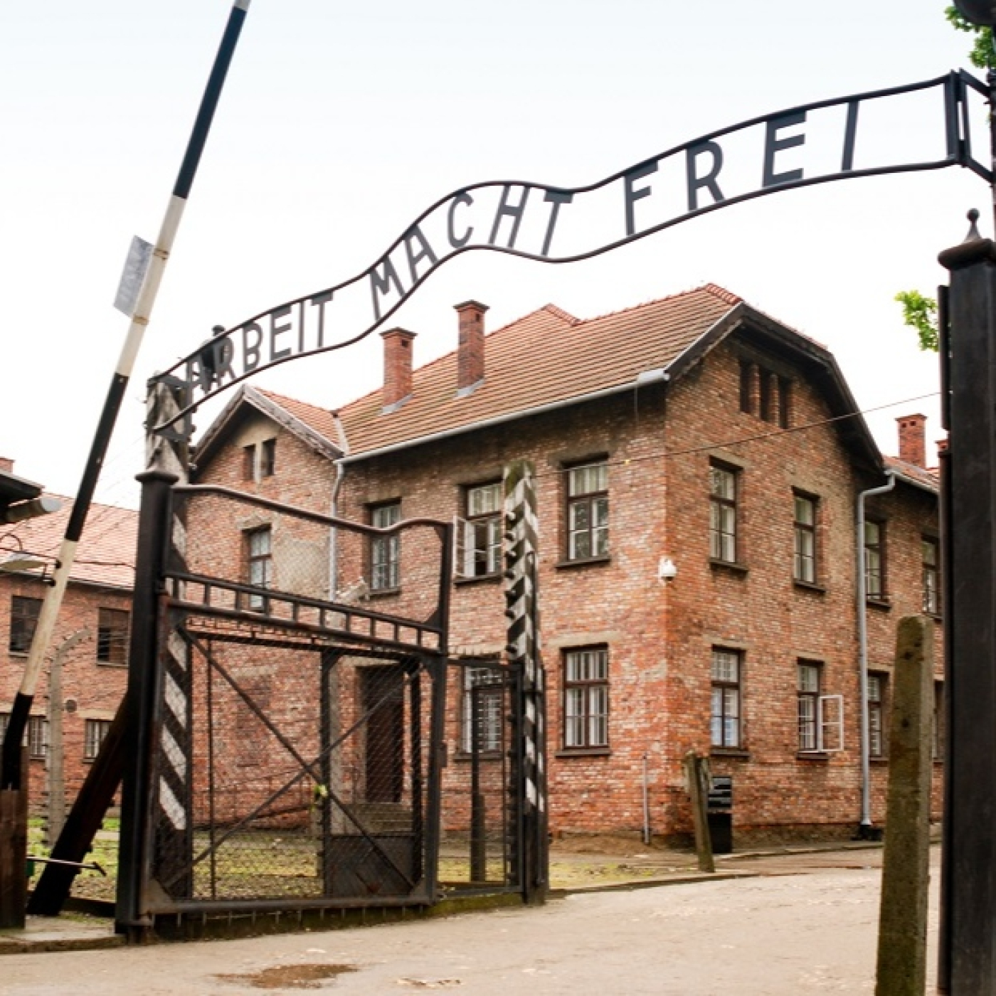 La Máquina de Matar de Hitler: 3- Los Campos de Concentración Nazis #documental #historia #podcast episode artwork