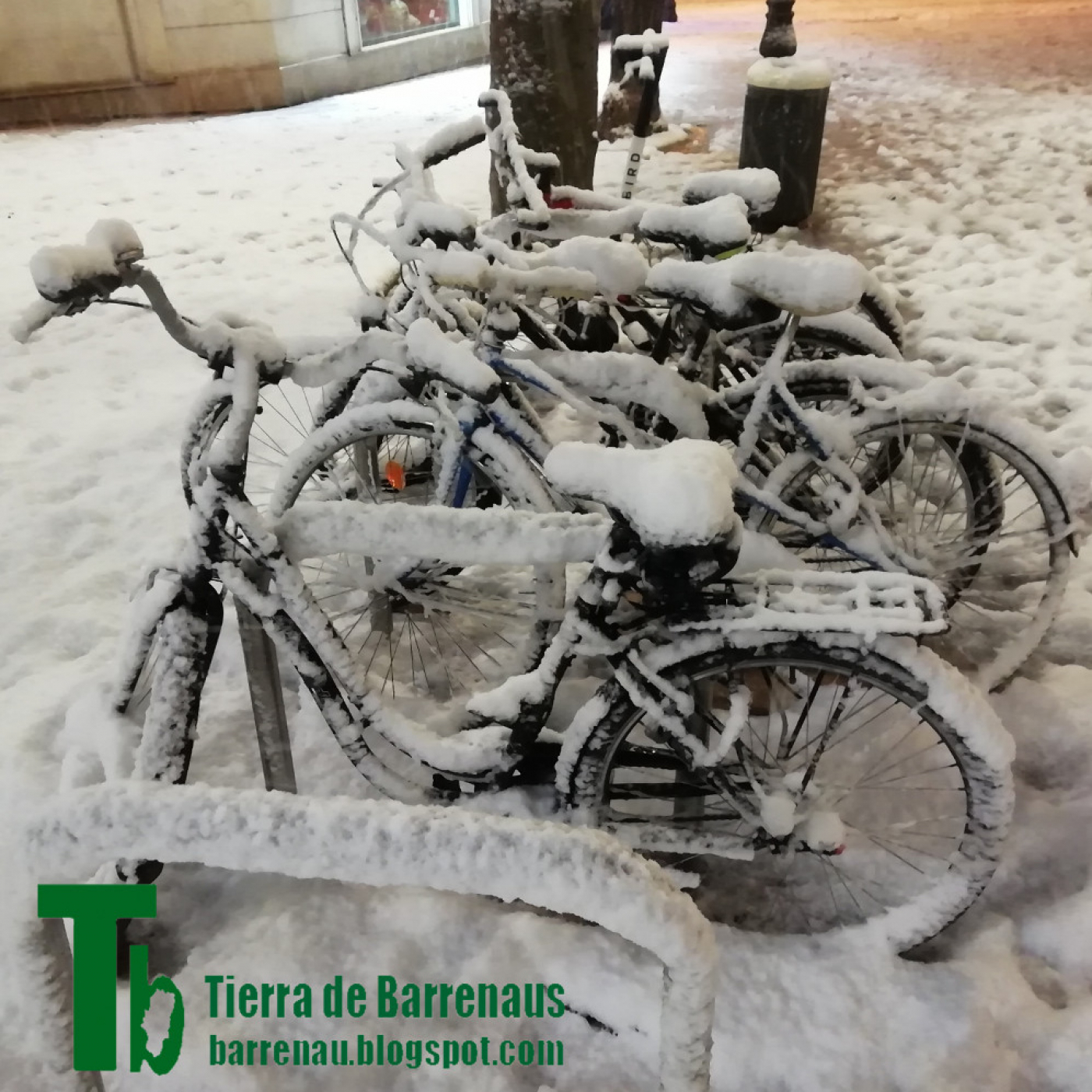 Tierra de barrenaus