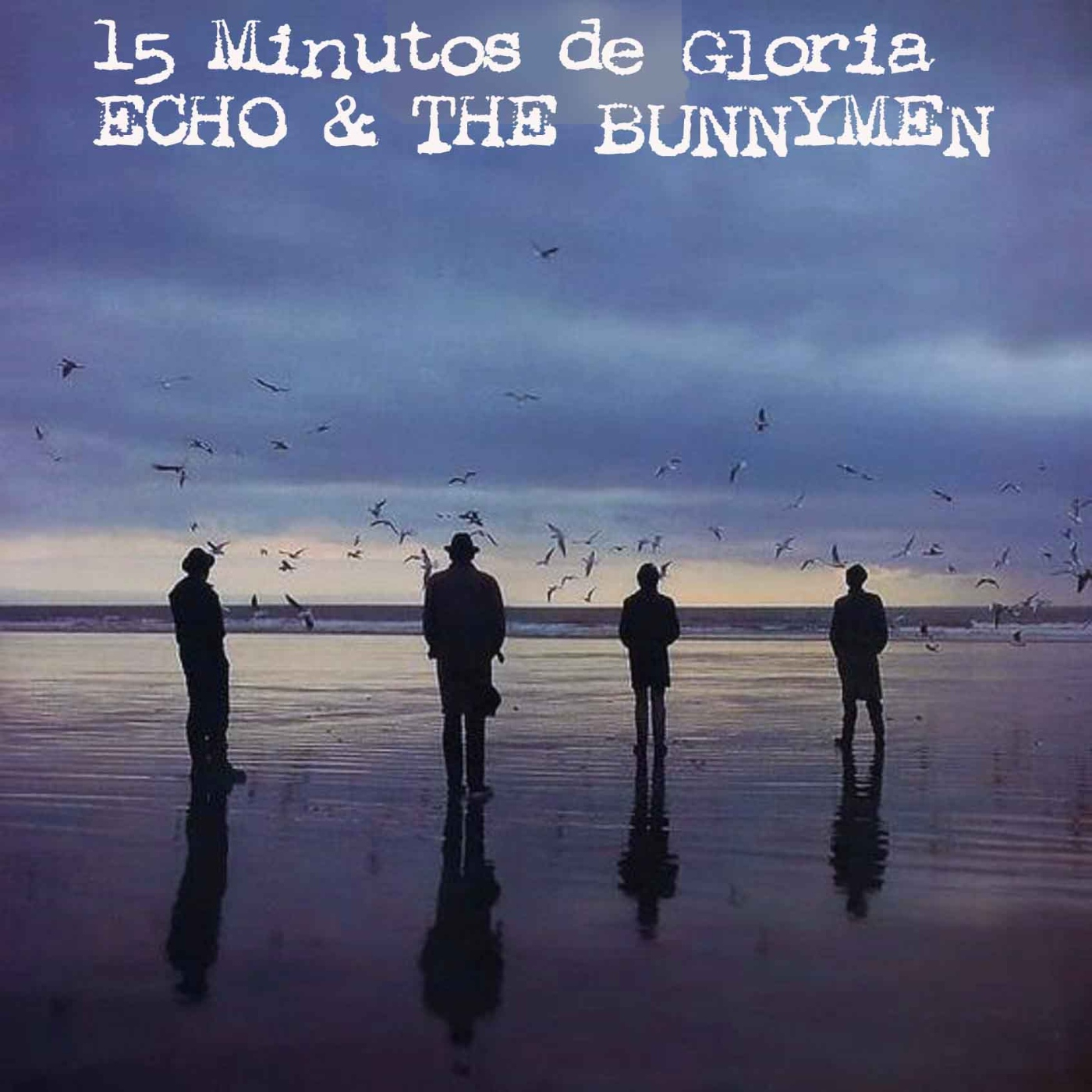 15 Minutos de Gloria Echo & the Bunnymen