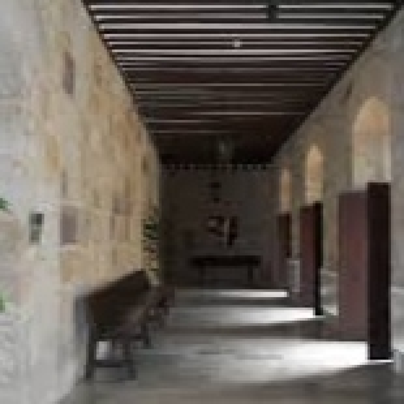 Música y Estricta Disciplina en el Seminario de San Pablo. Los Seises de Zamora episode artwork