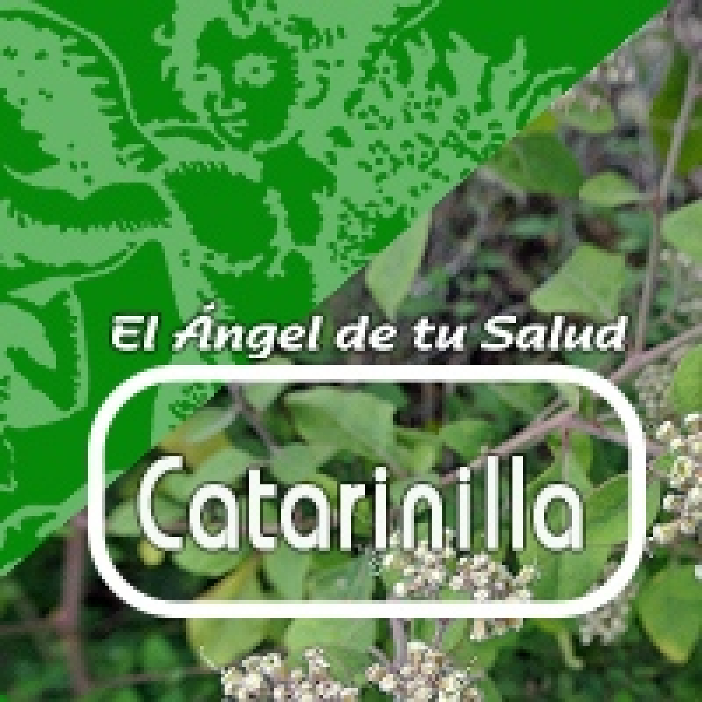 El Angel de tu Salud - CATARINILLA **** episode artwork