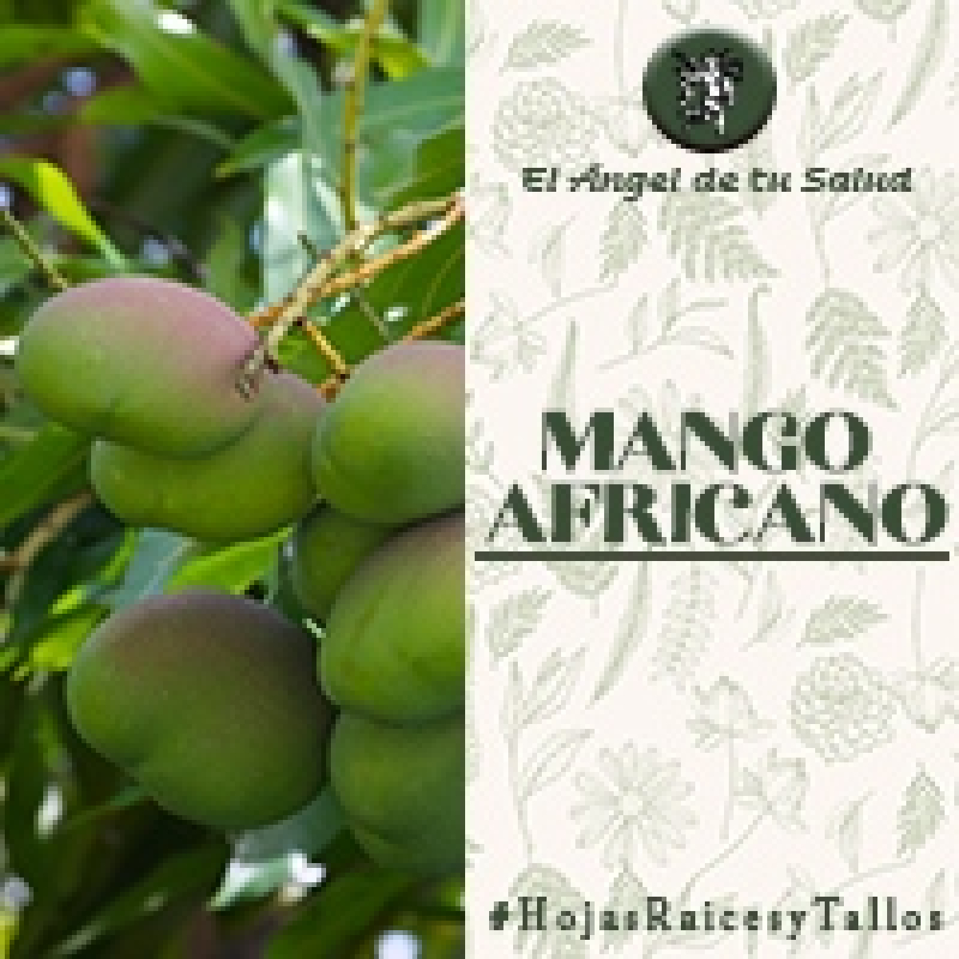 El Ángel de tu Salud - Mango Africano** episode artwork