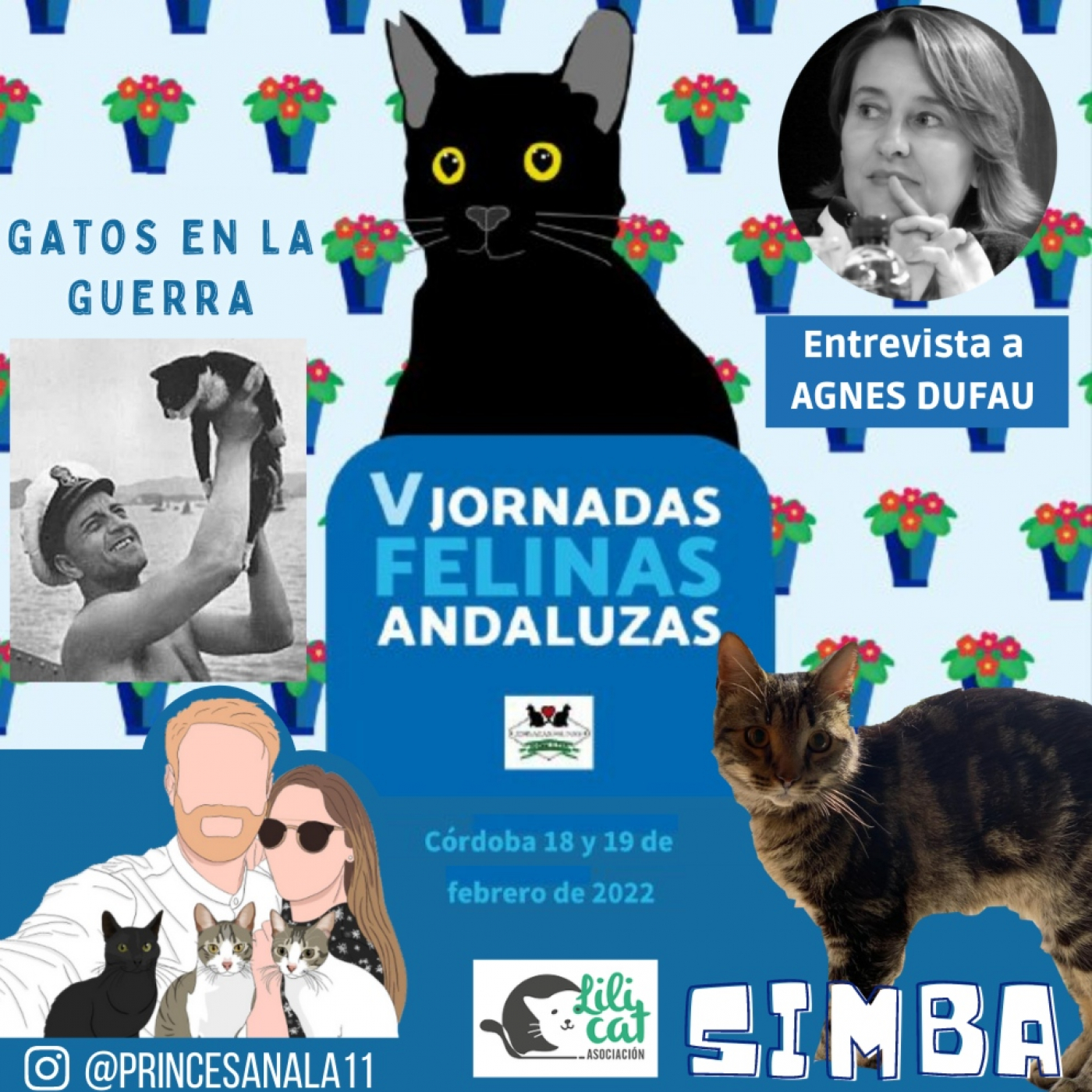 LOS GATOS DOMINARÁN EL MUNDO