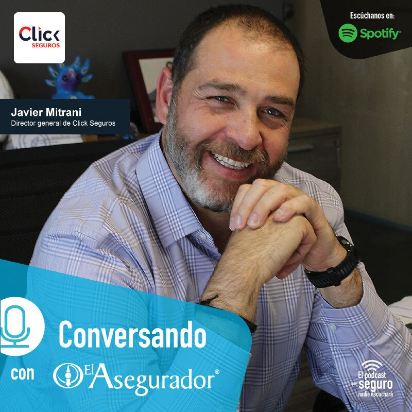 El Asegurador