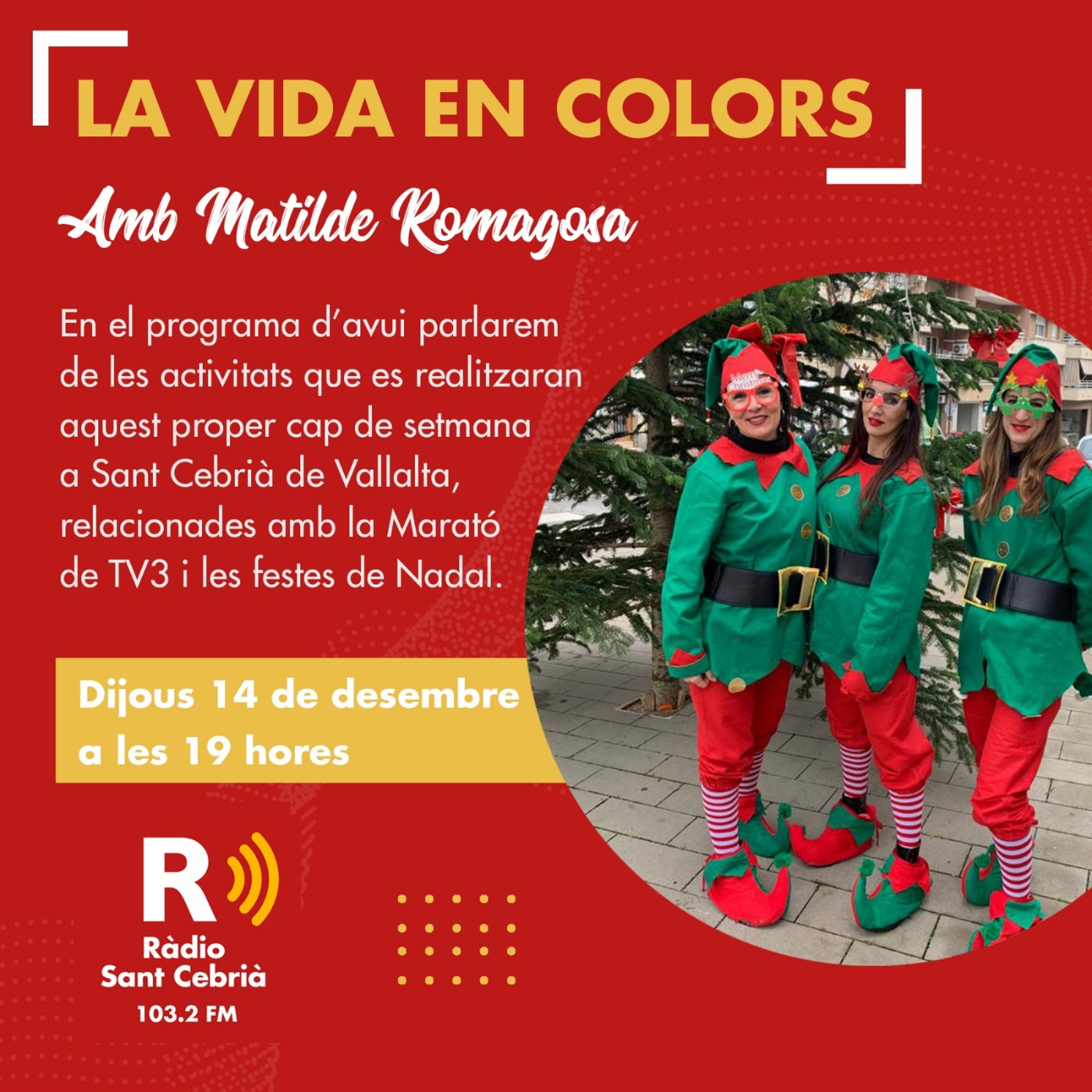 La Vida en Colors