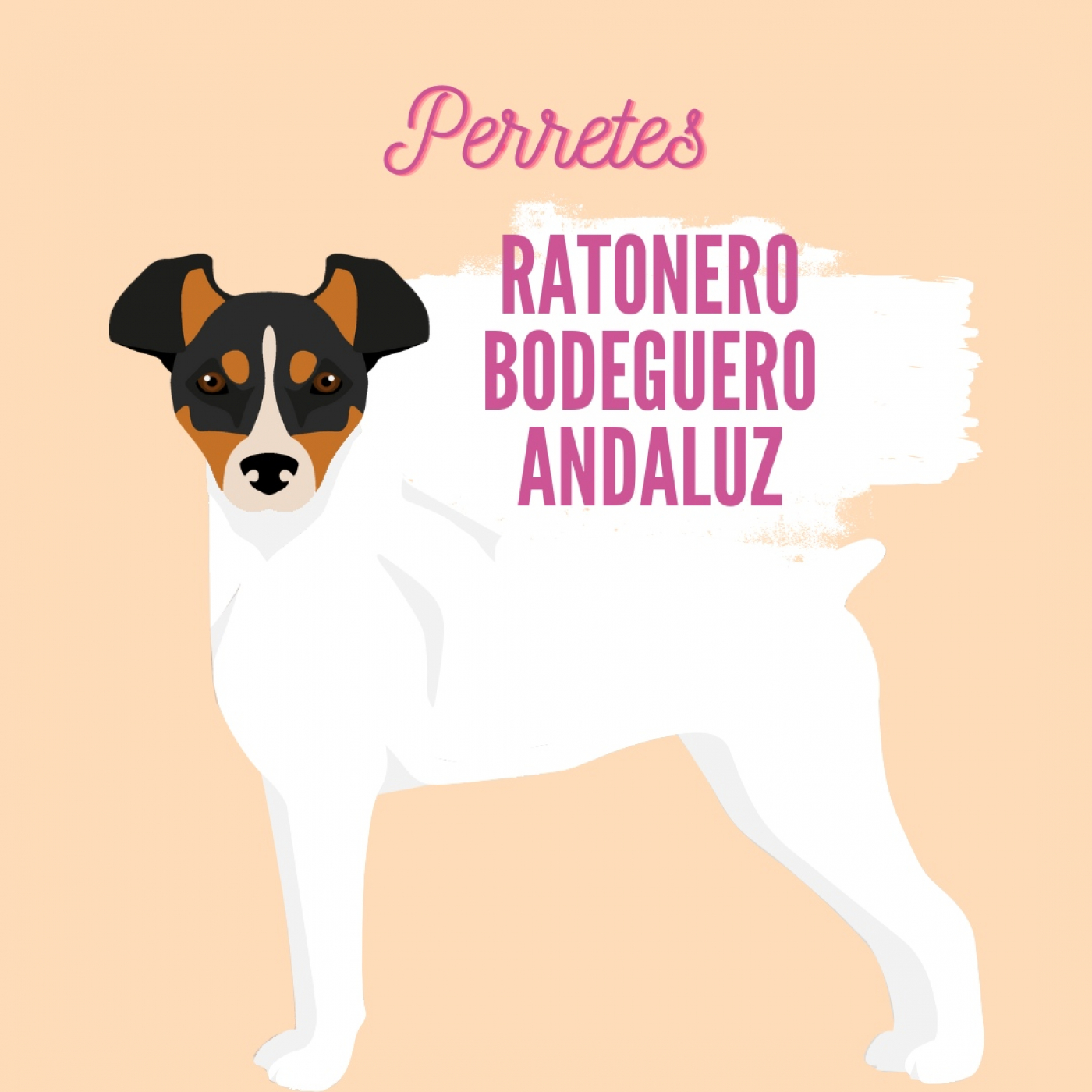 Perretes | Las razas de perros