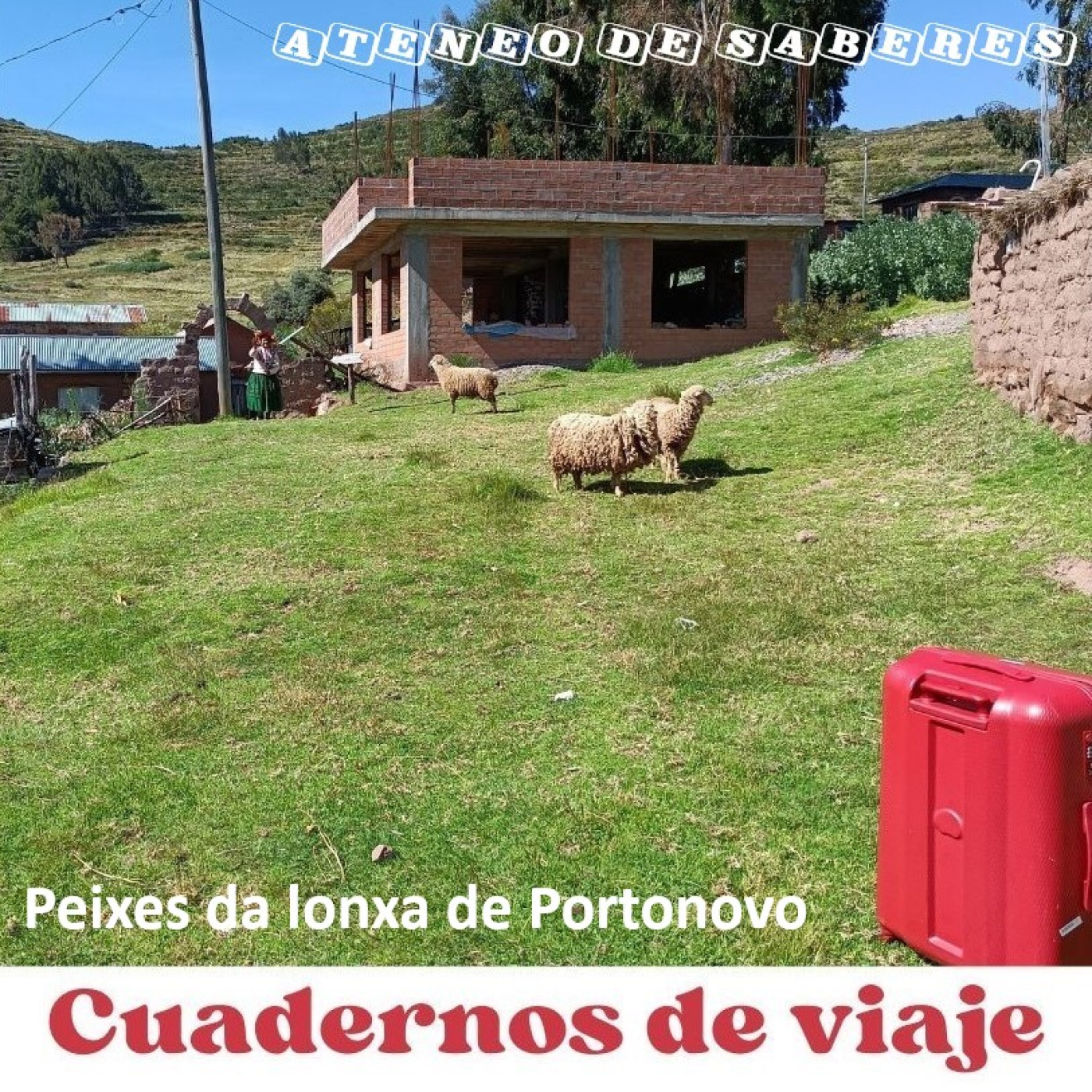 Cuadernos de viaje (CdV)