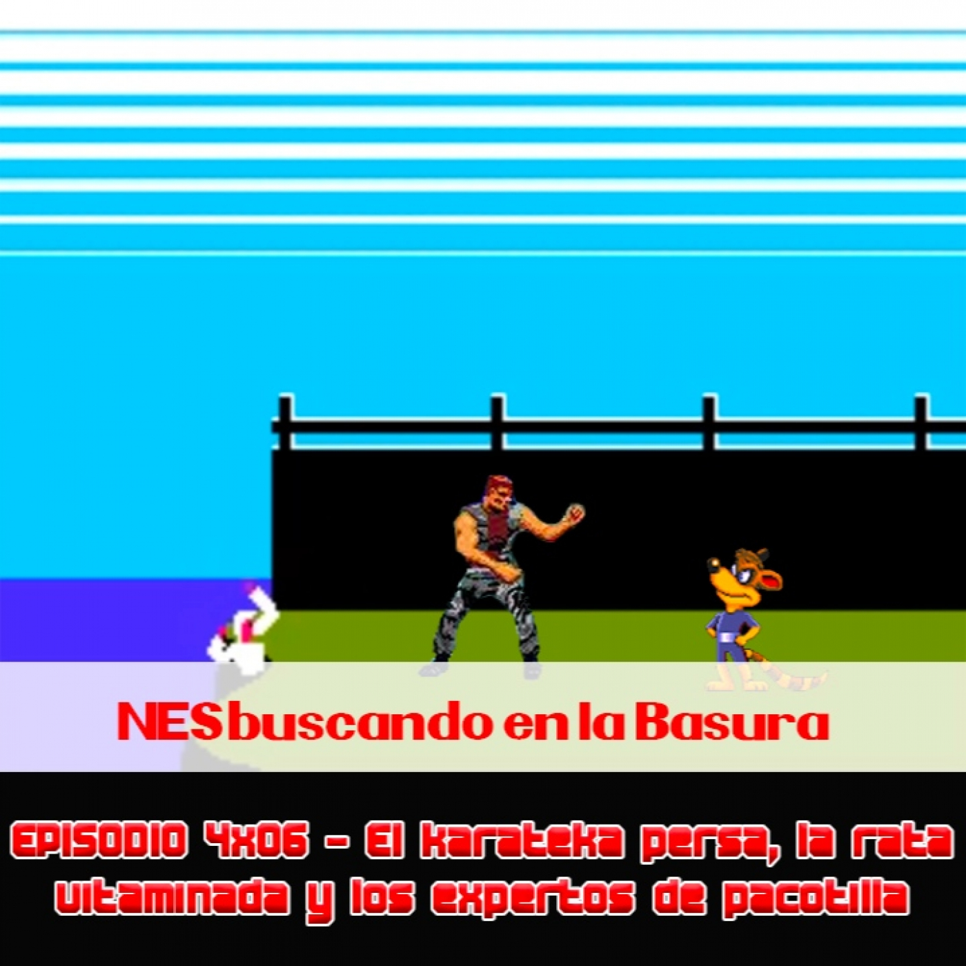 NESbuscando en la Basura