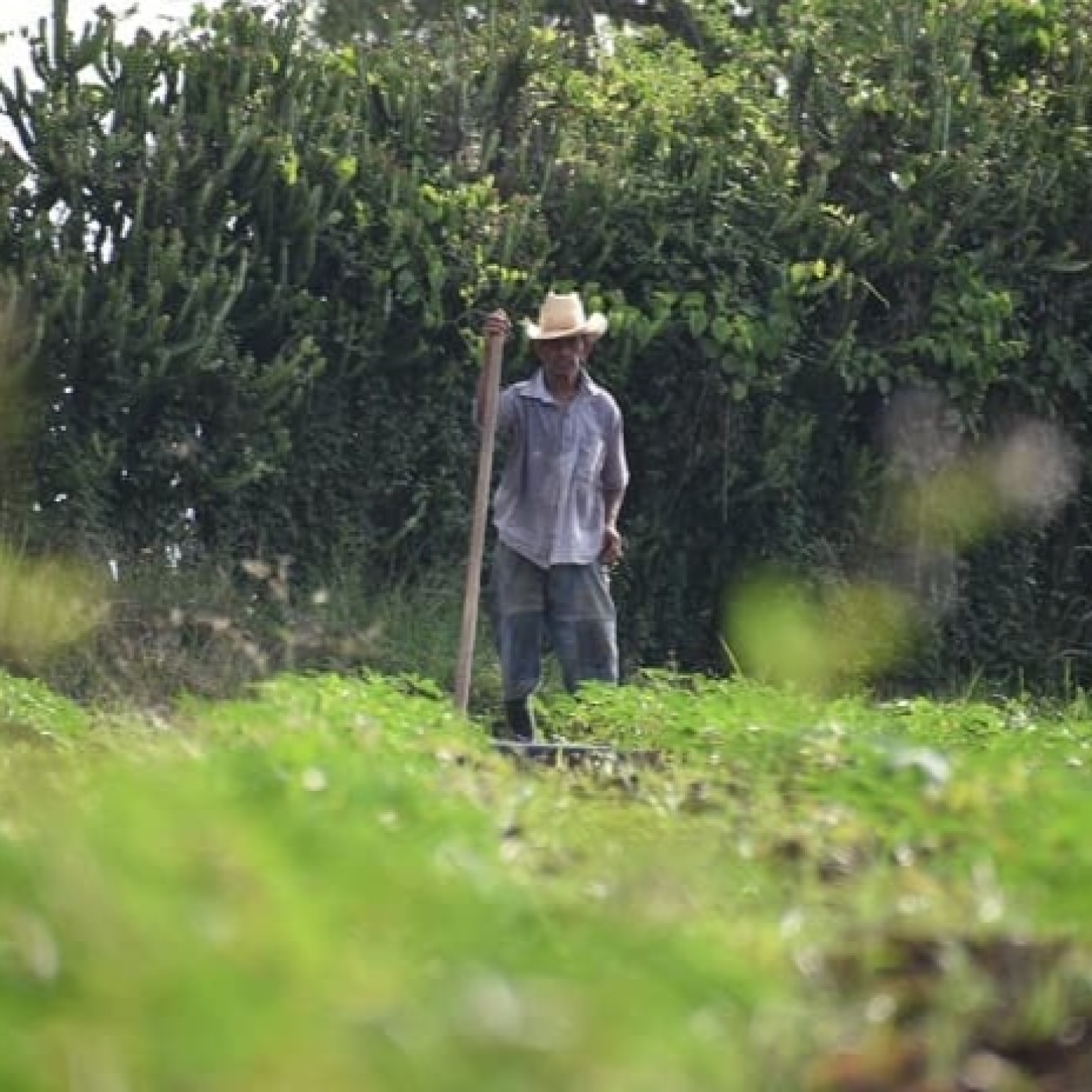 La finca de los Pascual episode artwork