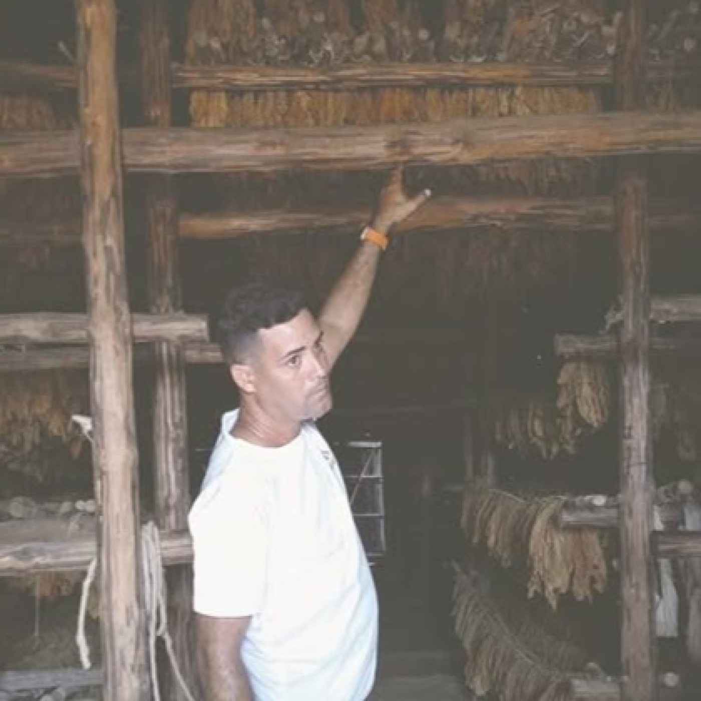 Osbey González Guerra, un productor que honra su herencia tabacalera